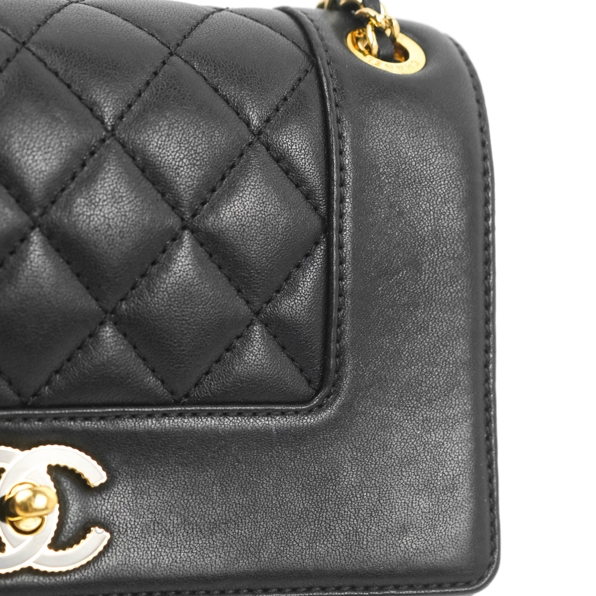 Chanel Small Vintage Mademoiselle Flap Black Sheepskin Gold Hardware – Coco  Approved Studio