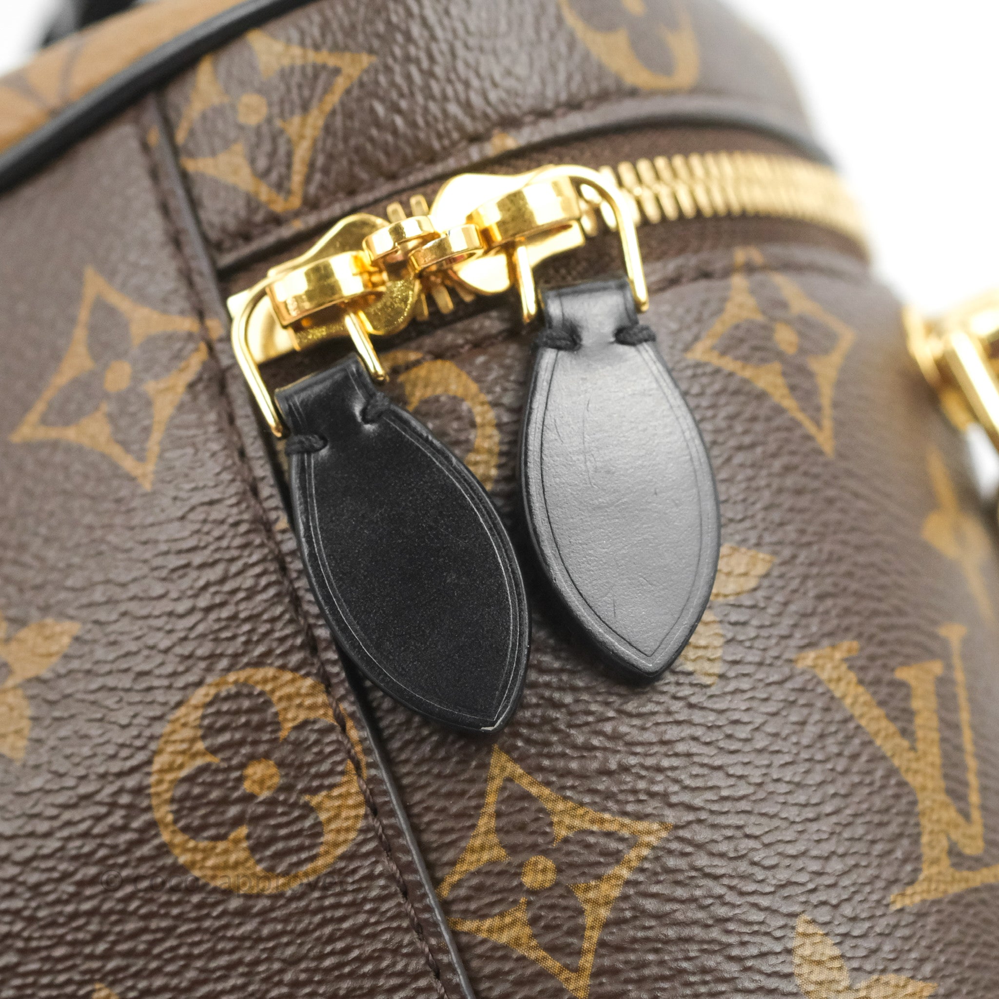 Louis Vuitton Reverse Monogram Vanity PM – Coco Approved Studio