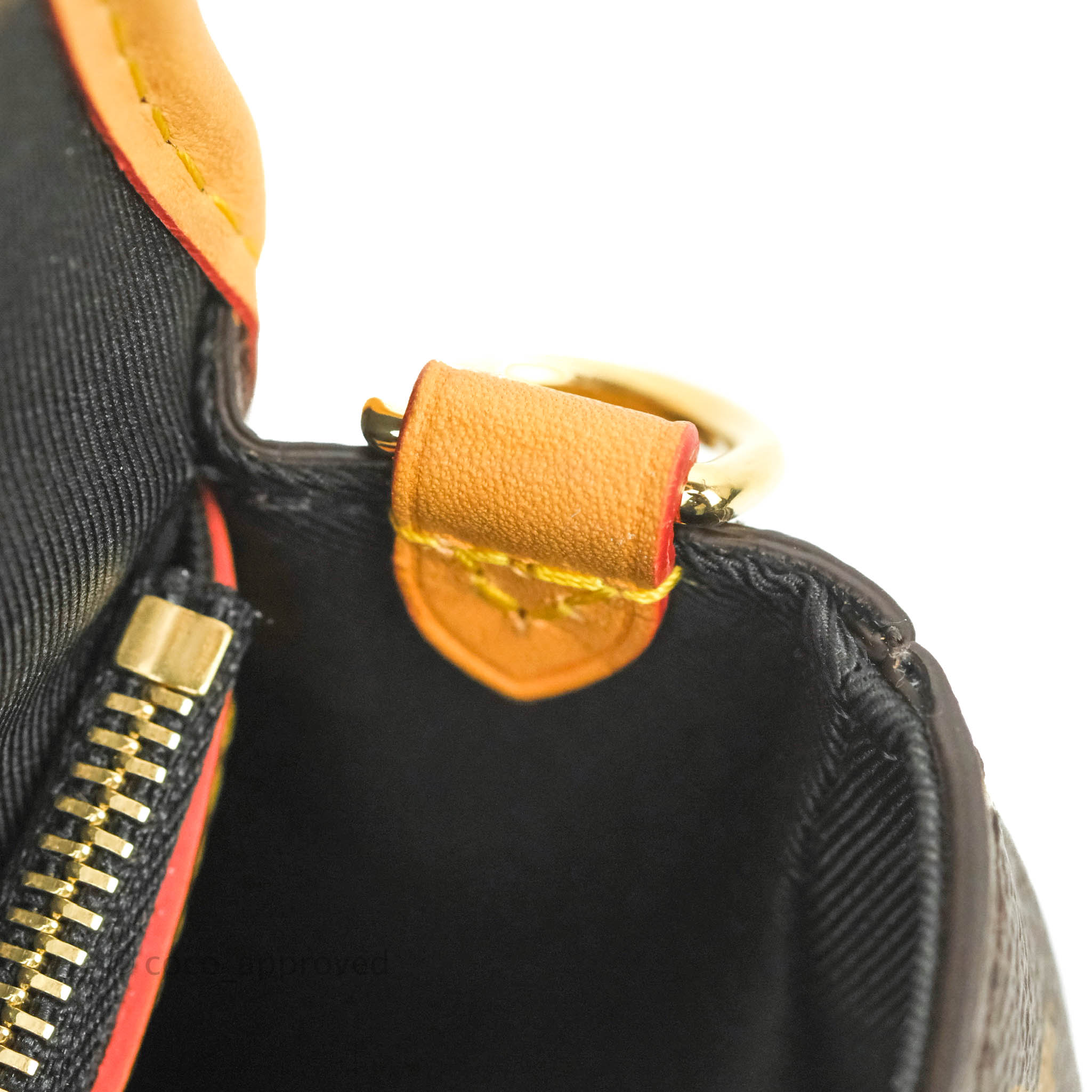 LOUIS VUITTON DIANE Monogram Canvas Satchel Shoulder Bag Removable Fabric  Strap Brown Leather ref.661645 - Joli Closet