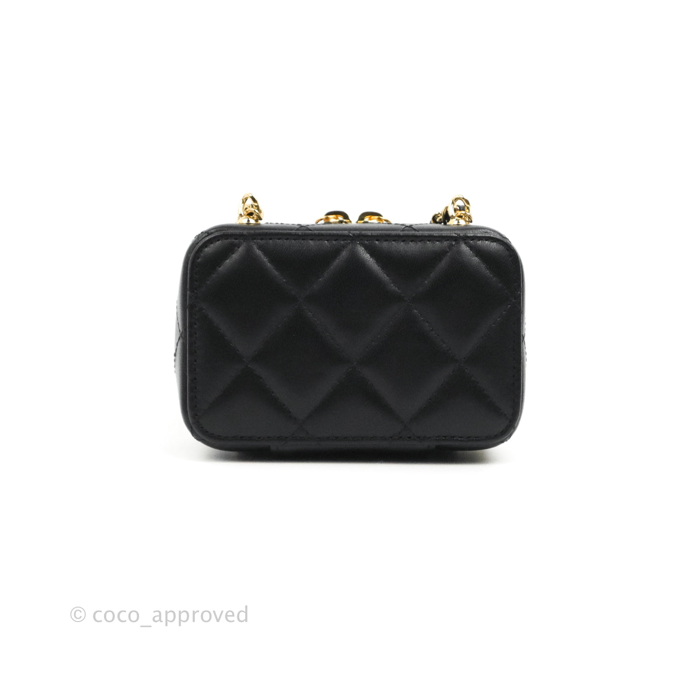 Chanel Golden Plate Filigree Vanity Case - Black Shoulder Bags