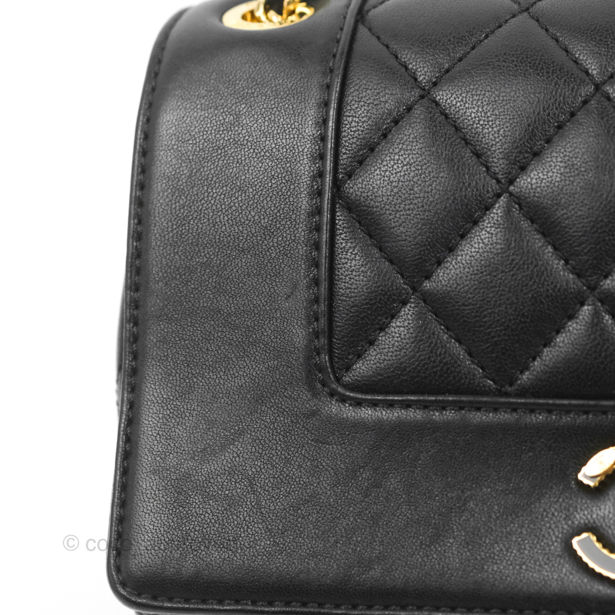 Chanel Small Vintage Mademoiselle Flap Black Sheepskin Gold Hardware – Coco  Approved Studio