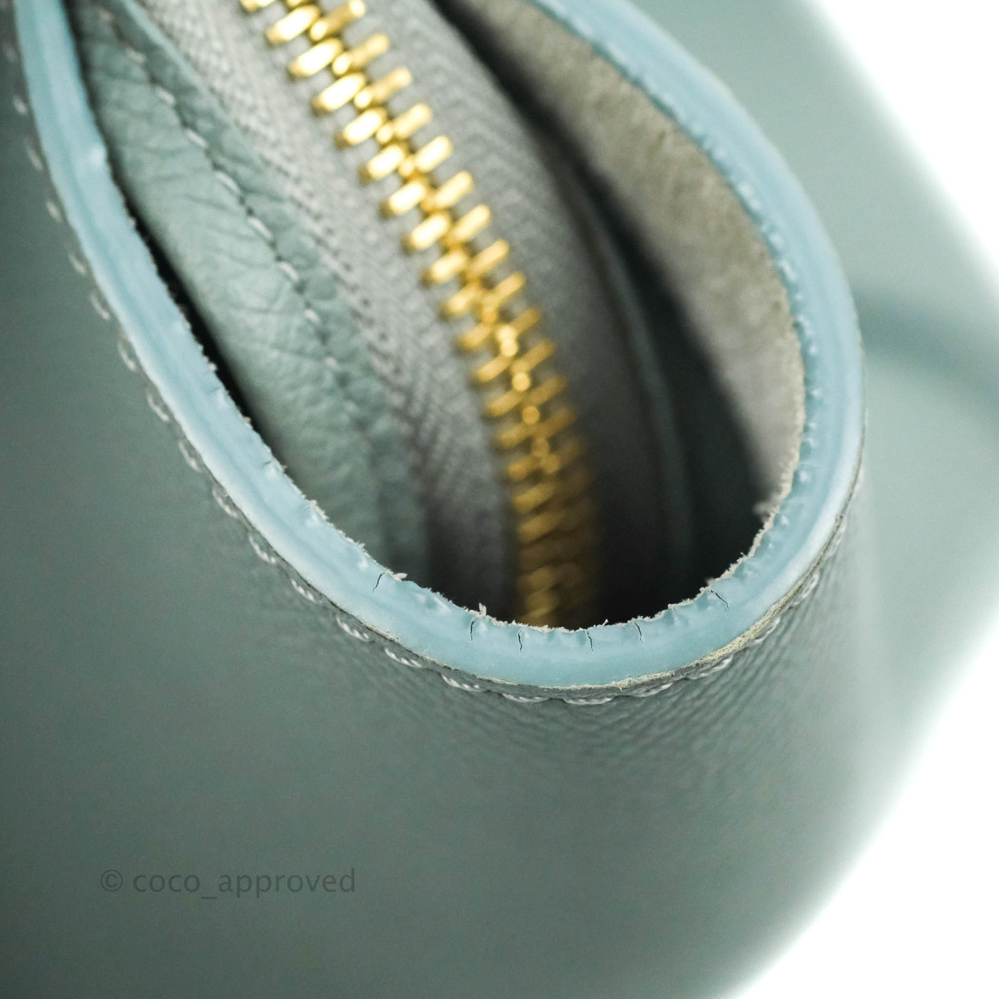 Shop CELINE Belt Micro Belt Bag In Grained Calfskin (189153ZVA) by  SaKURa_JAPAN