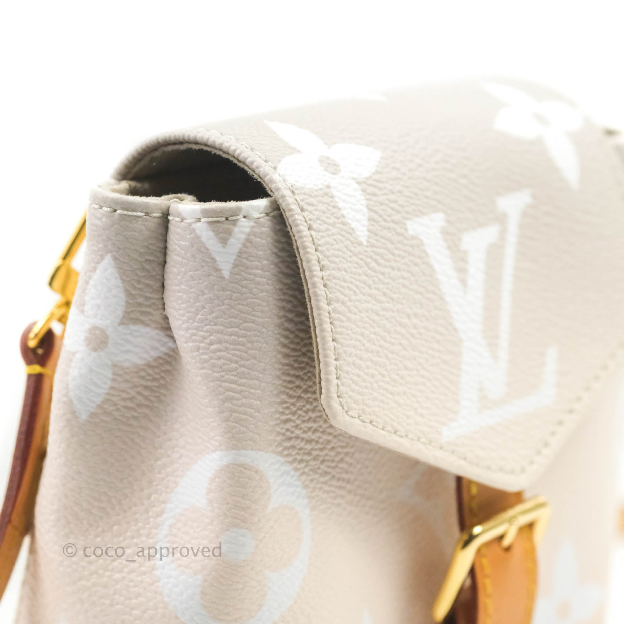 Shop Louis Vuitton MONOGRAM EMPREINTE Tiny backpack (M80738) by