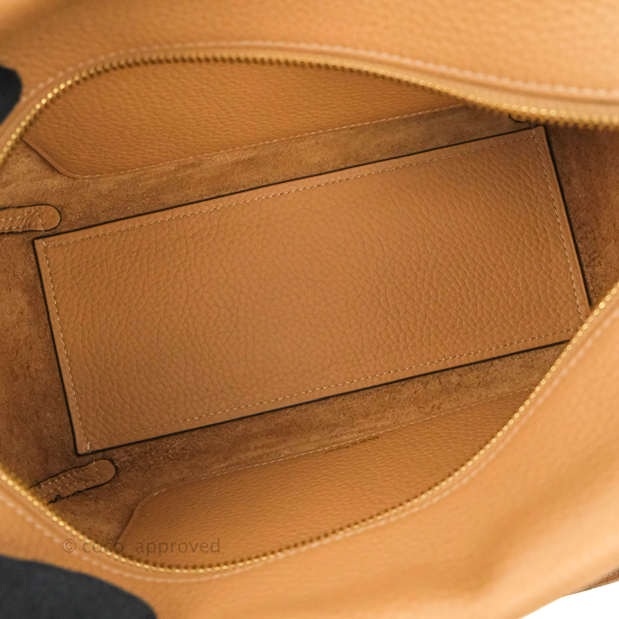 Delvaux Cool Box Nano Taurillon Soft Végétal Mini Bag ○ Labellov