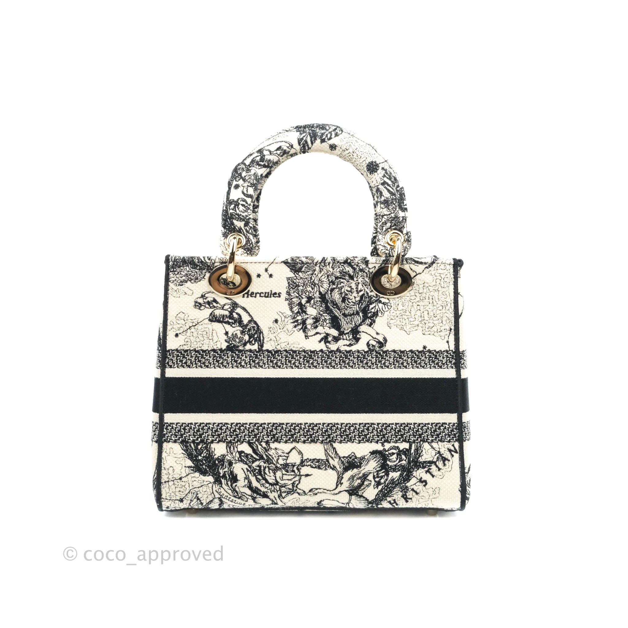 Dior Printed Leather Toile de Jouy Lady Dior Wallet on Chain Bag