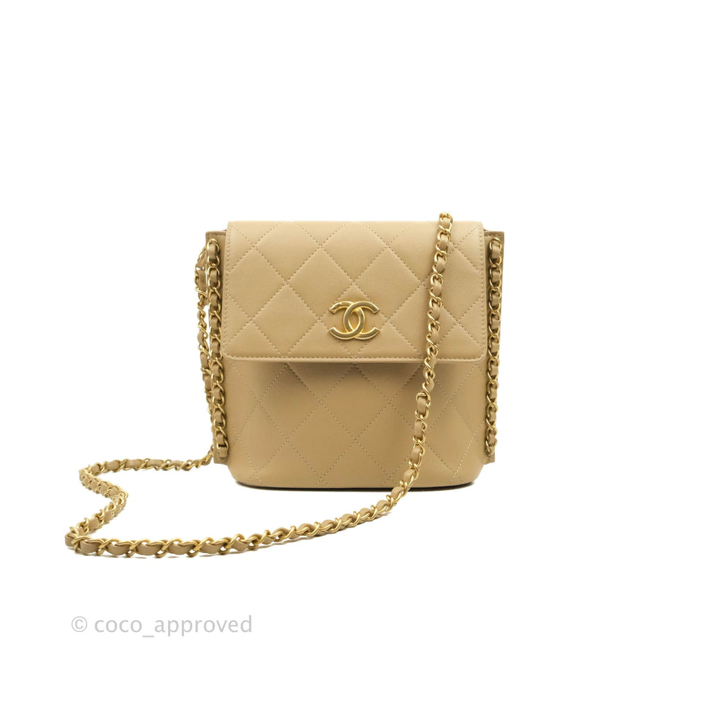 Chanel Small Hobo Bag Beige Calfskin Aged Gold Hardware