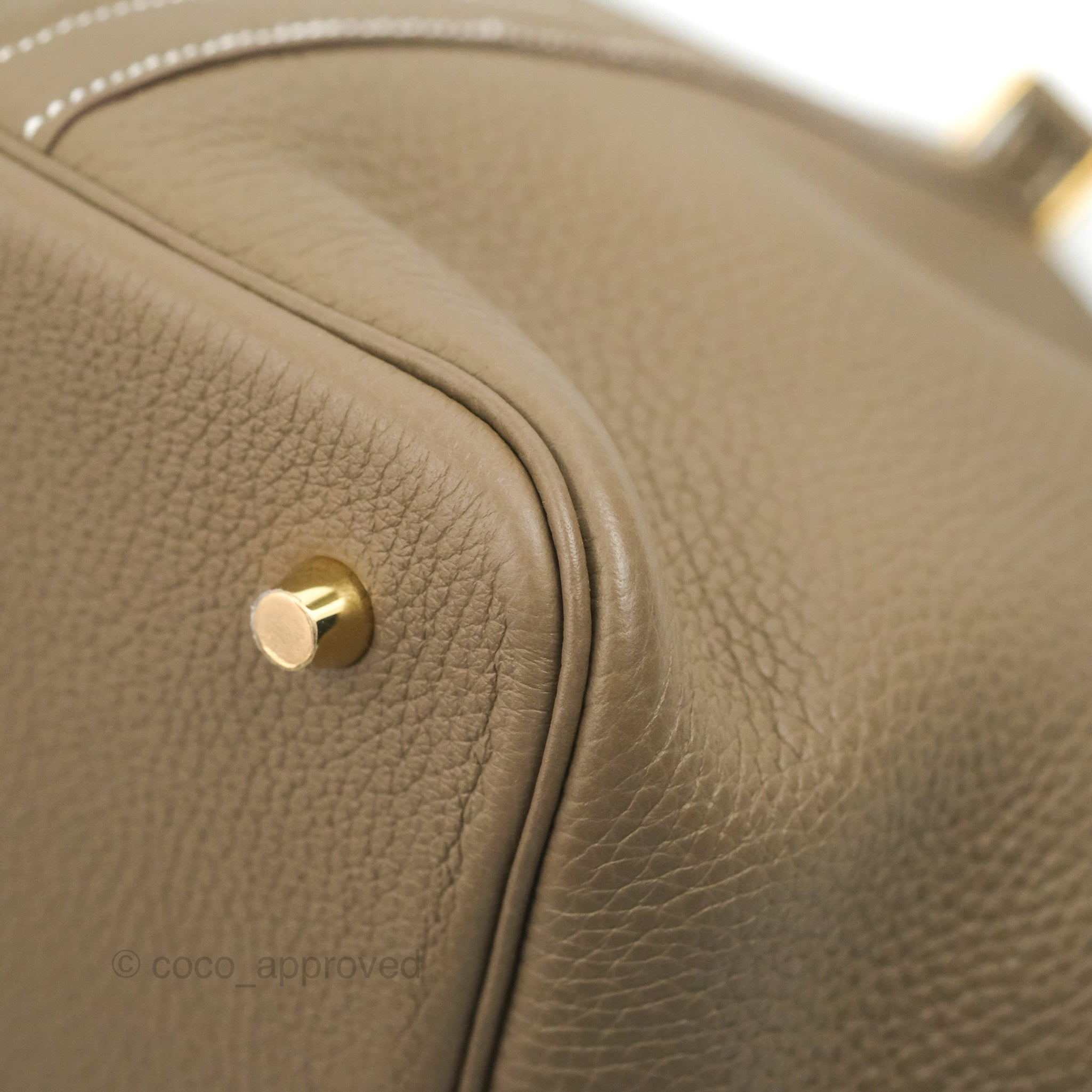 Hermes Gold Picotin Lock 22 Bag – The Closet