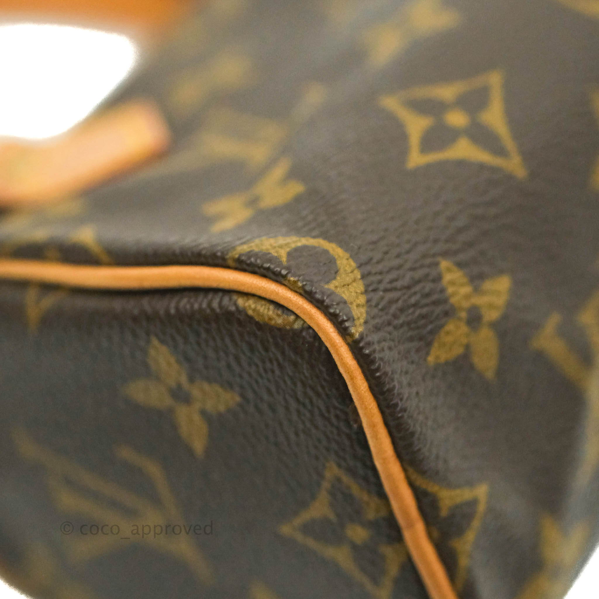 Louis Vuitton Mini Nano Speedy Bag – In Wang Vintage