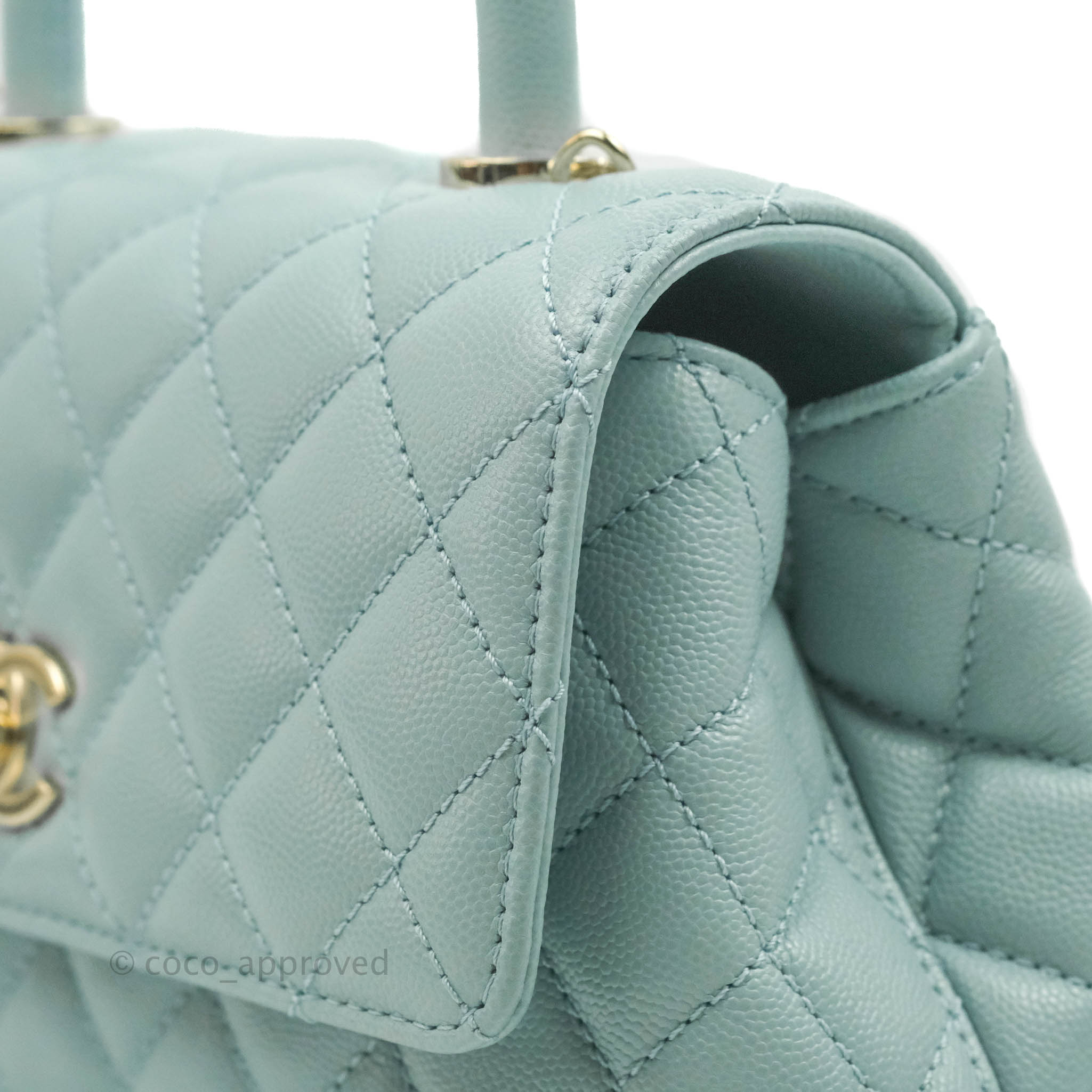 Chanel Quilted Mini Coco Handle Baby Pink Python Gold Hardware – Coco  Approved Studio
