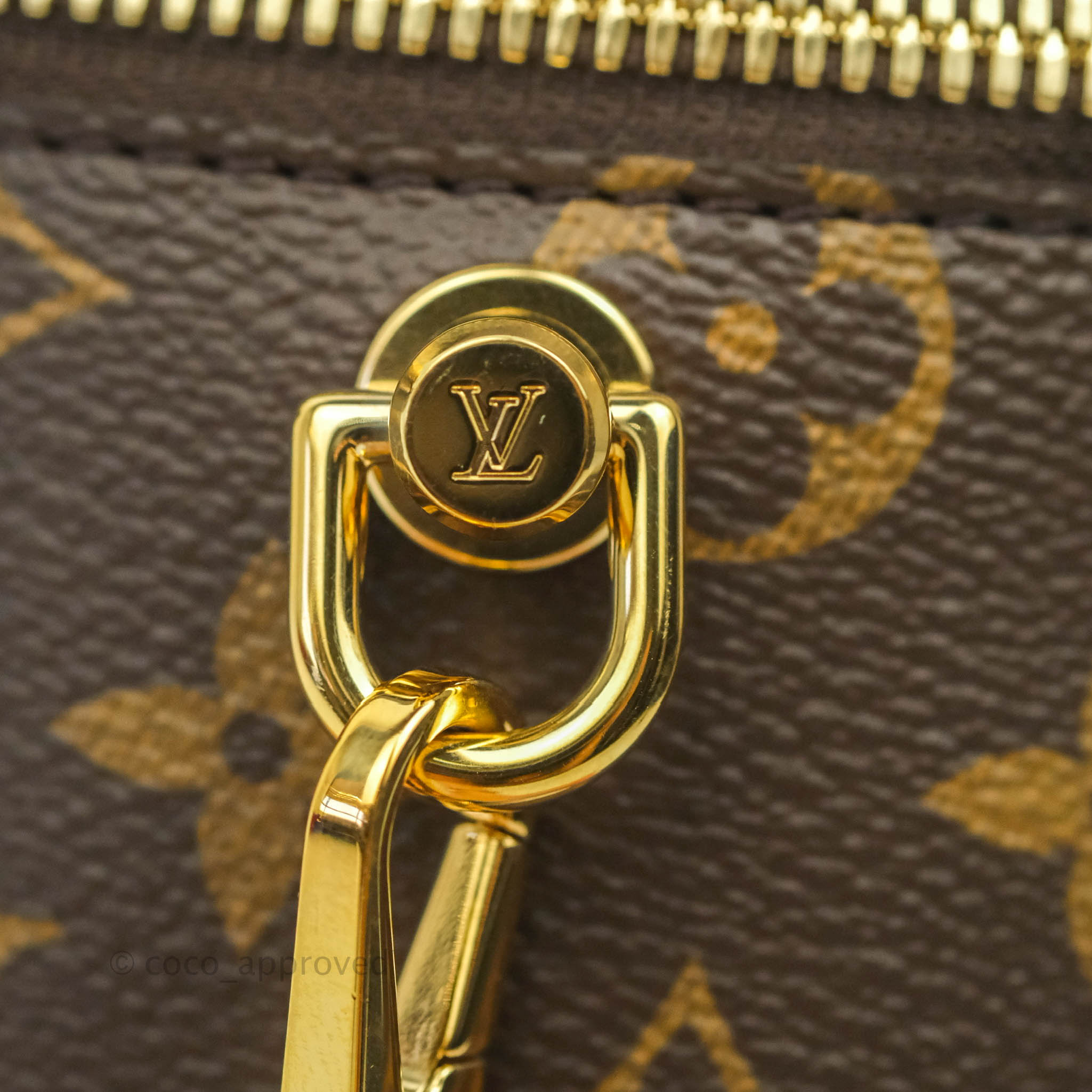 Louis Vuitton Climbing Zippy Wallet Limited Edition Monogram