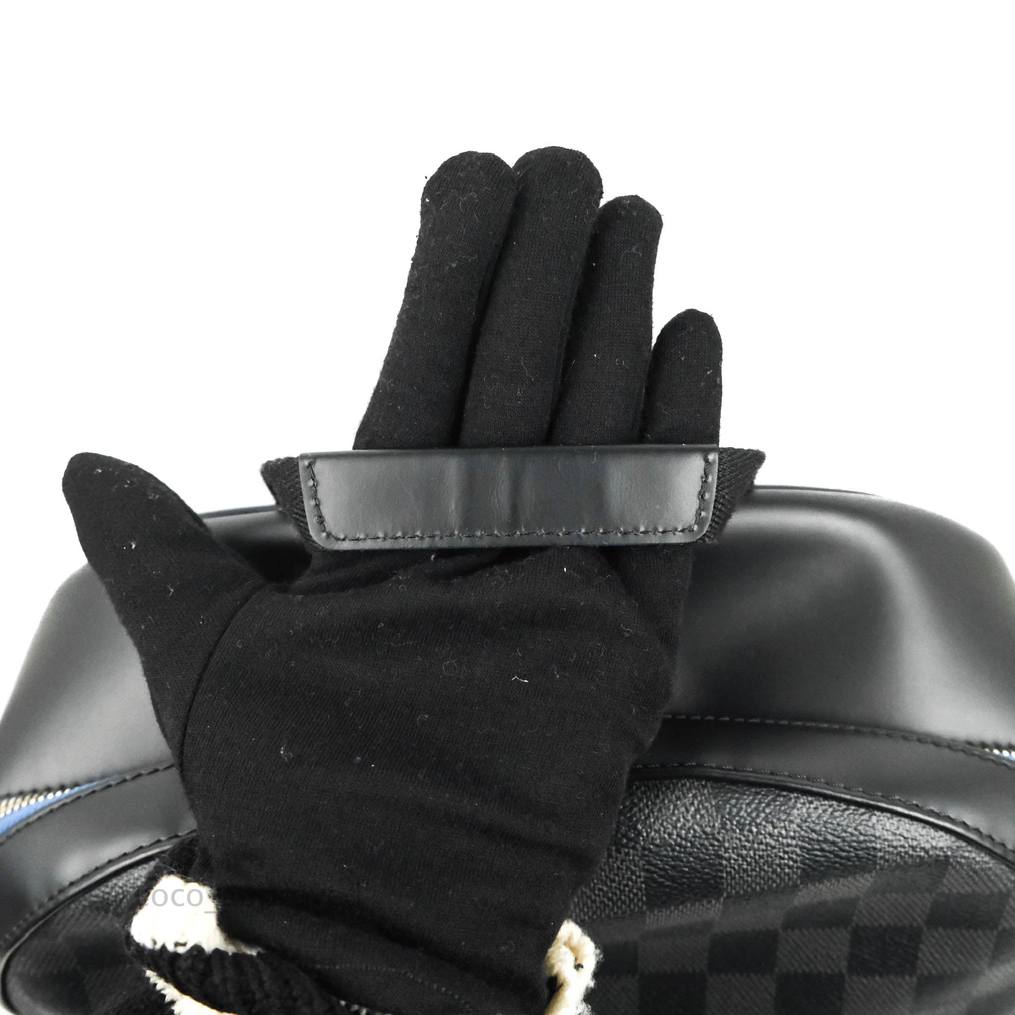 Louis Vuitton Damier Graphite Gloves