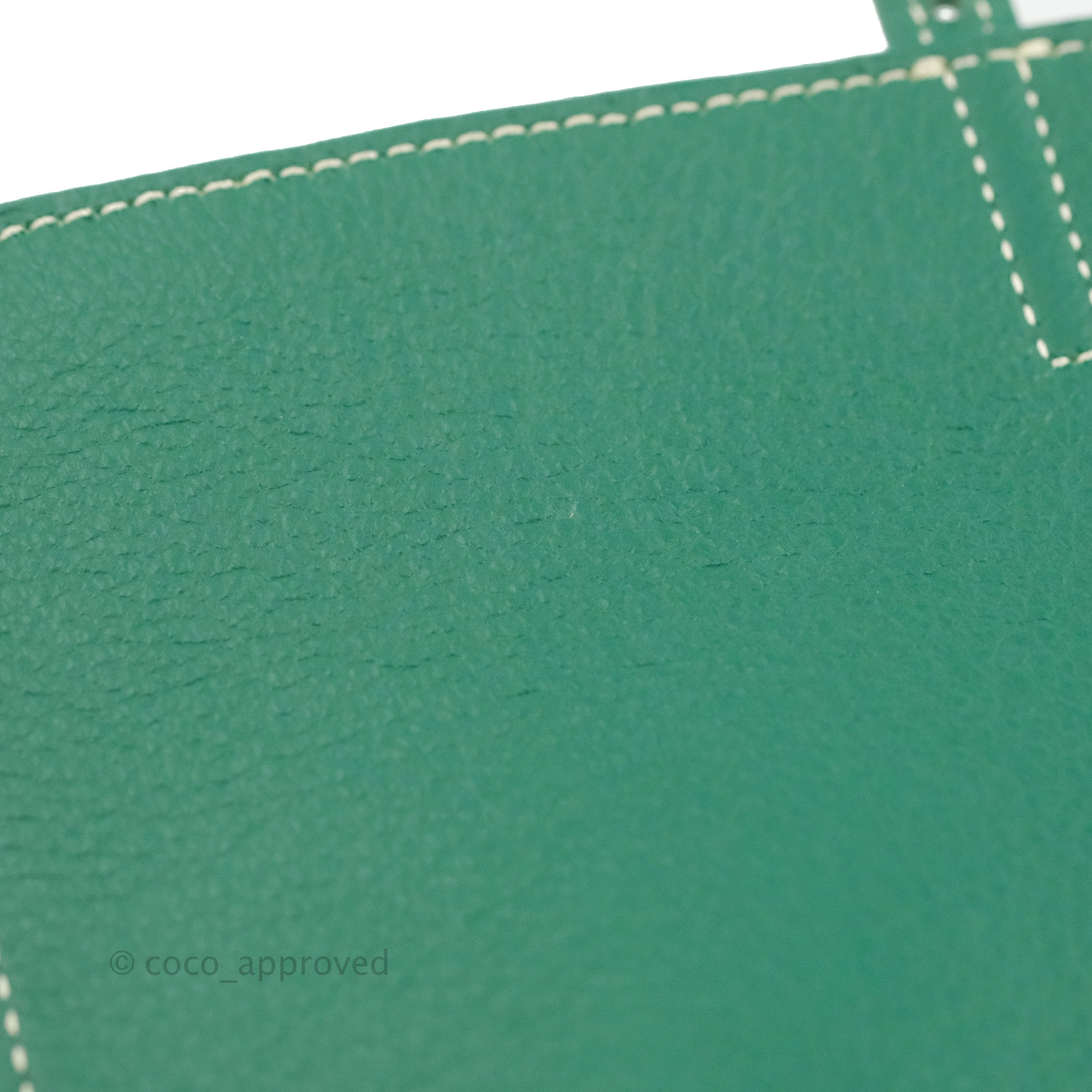L'alpin leather backpack Goyard Green in Leather - 37102766