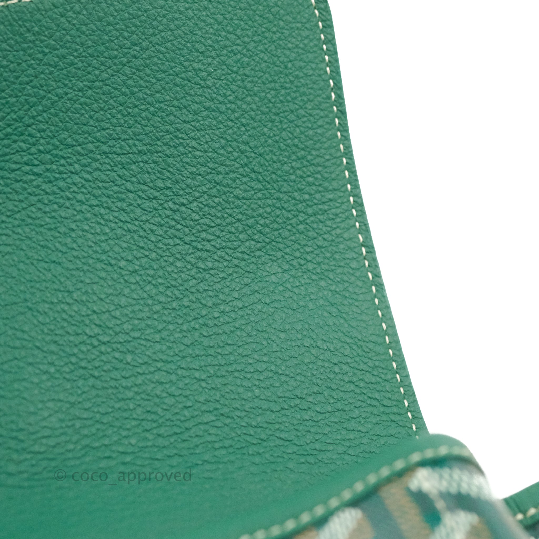 Goyard Mini Alpin Backpack Green Goyardine Calfskin – Coco Approved Studio