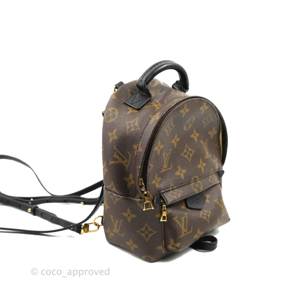 Louis Vuitton Monogram Mini Palm Springs Backpack⁣