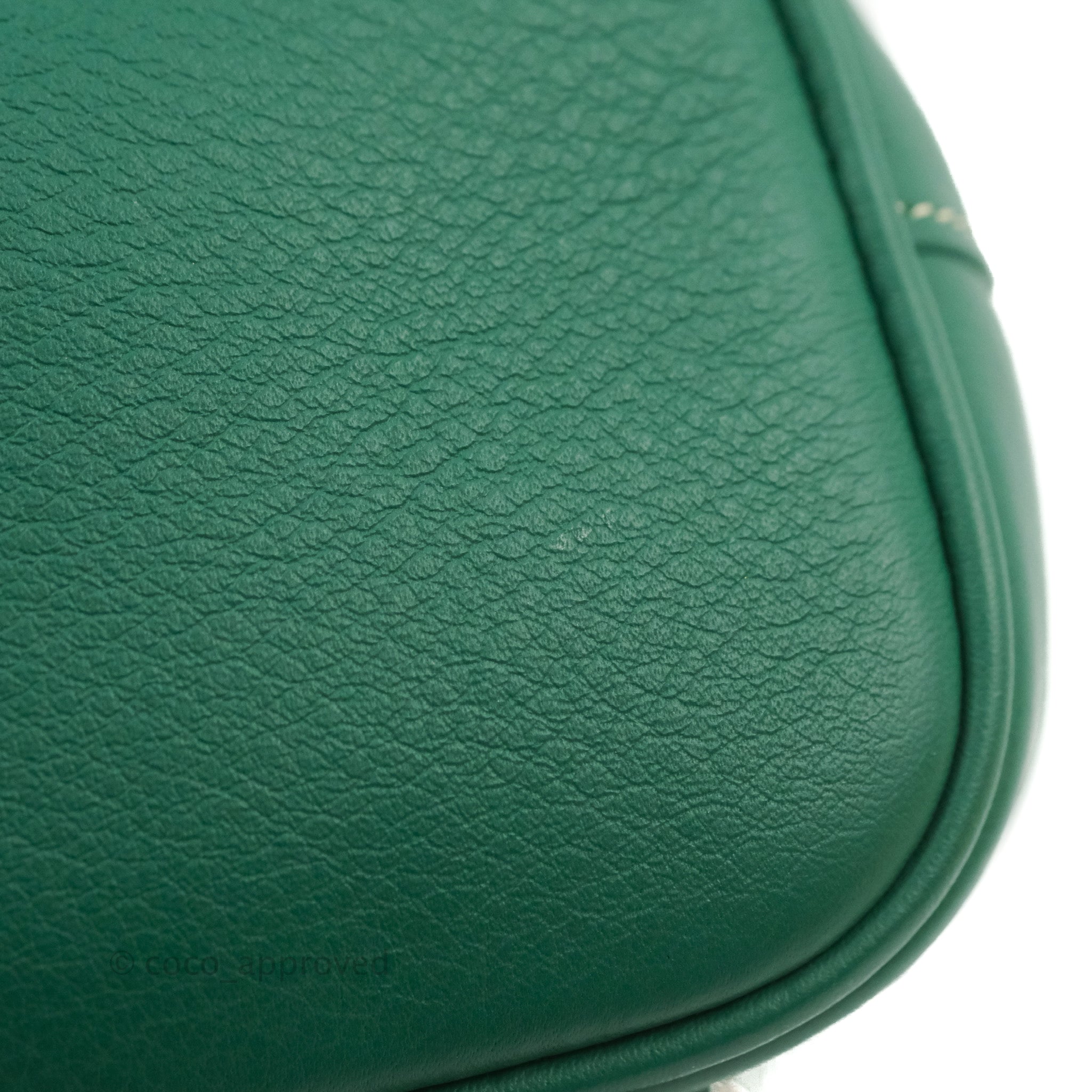 Goyard Mini Alpin Backpack Green Goyardine Calfskin – Coco
