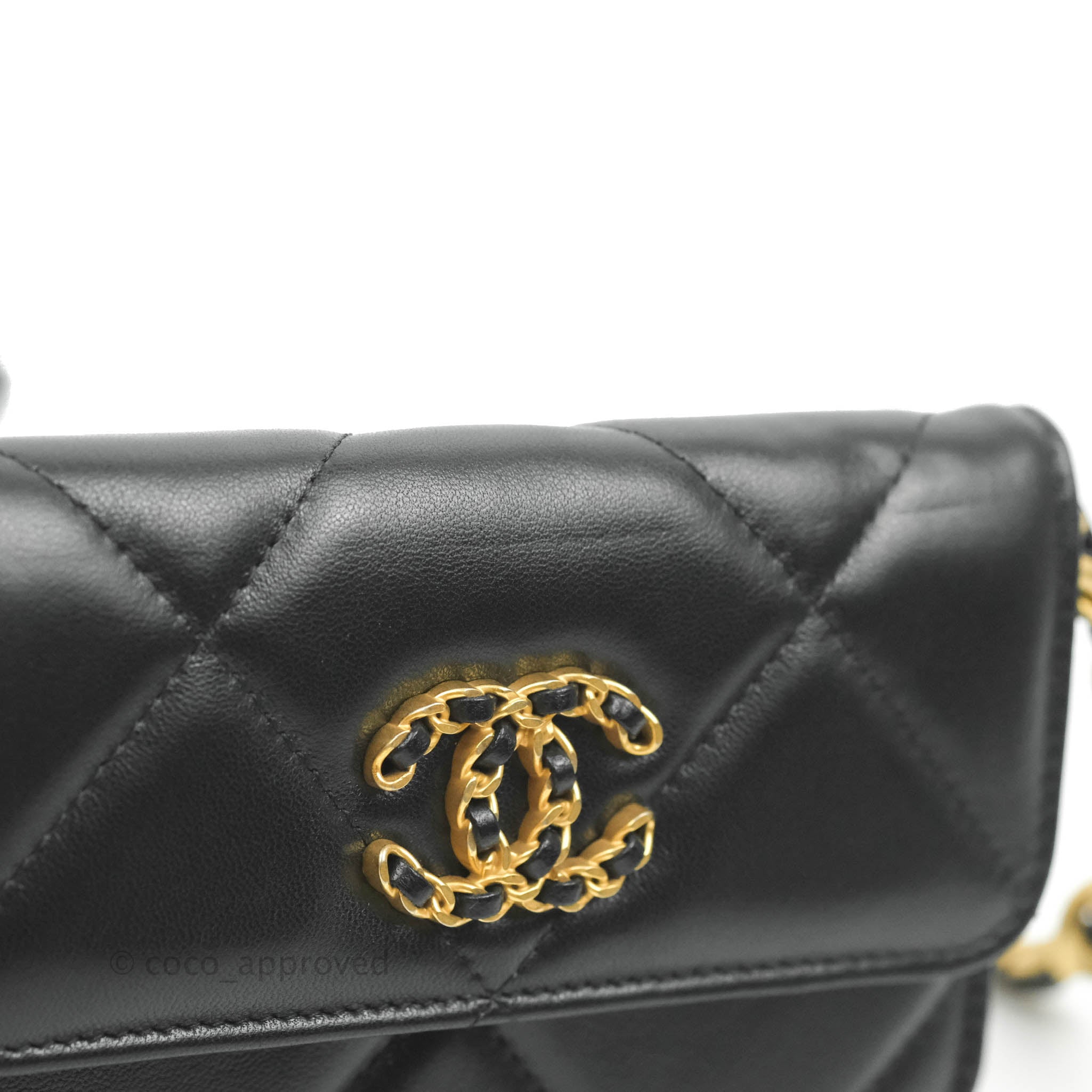The Ultimate Bag Guide Chanel 19 Bag  PurseBlog