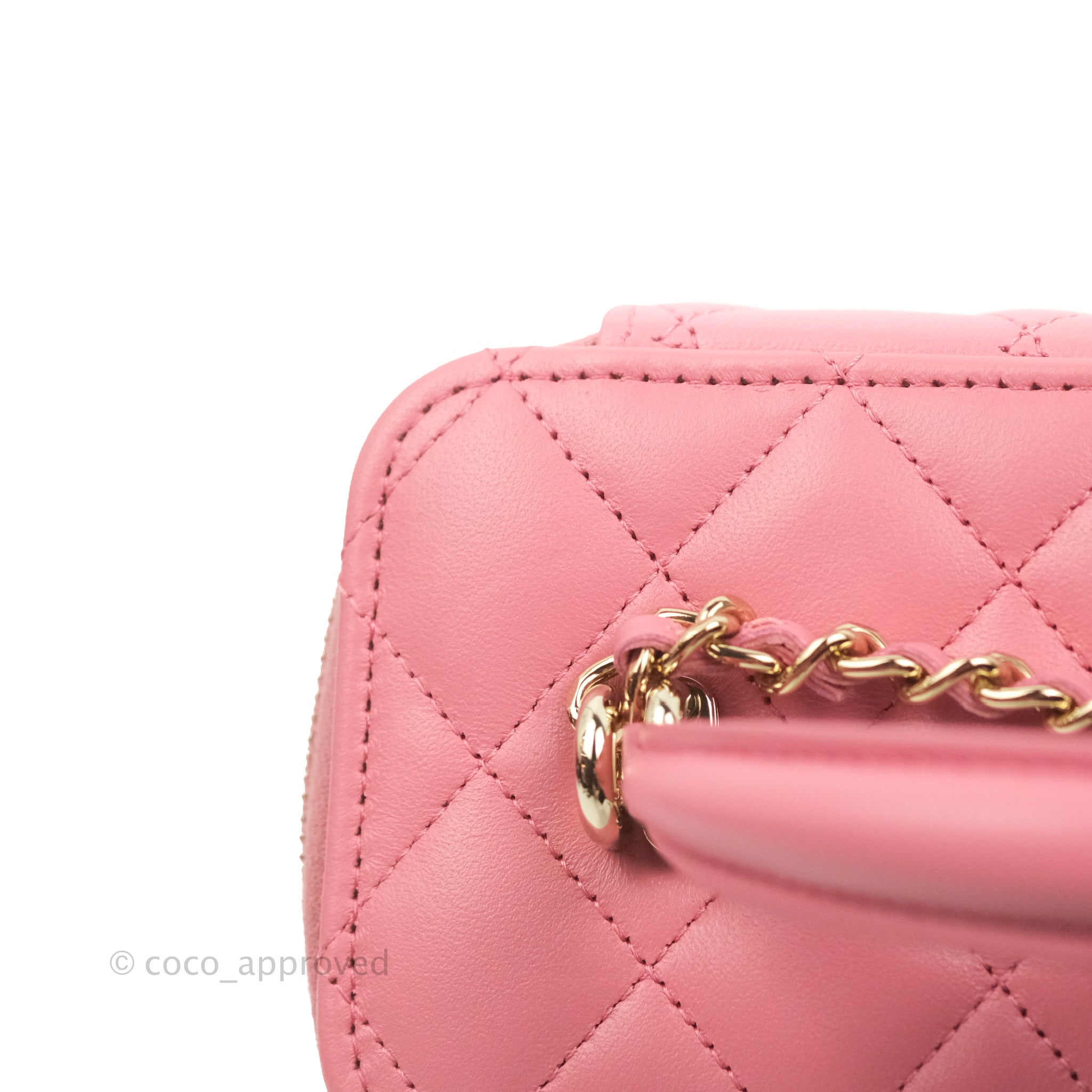 CHANEL 22S Pink Lamb Skin Rectangular Pearl Crush Vanity Gold Hardware –  AYAINLOVE CURATED LUXURIES