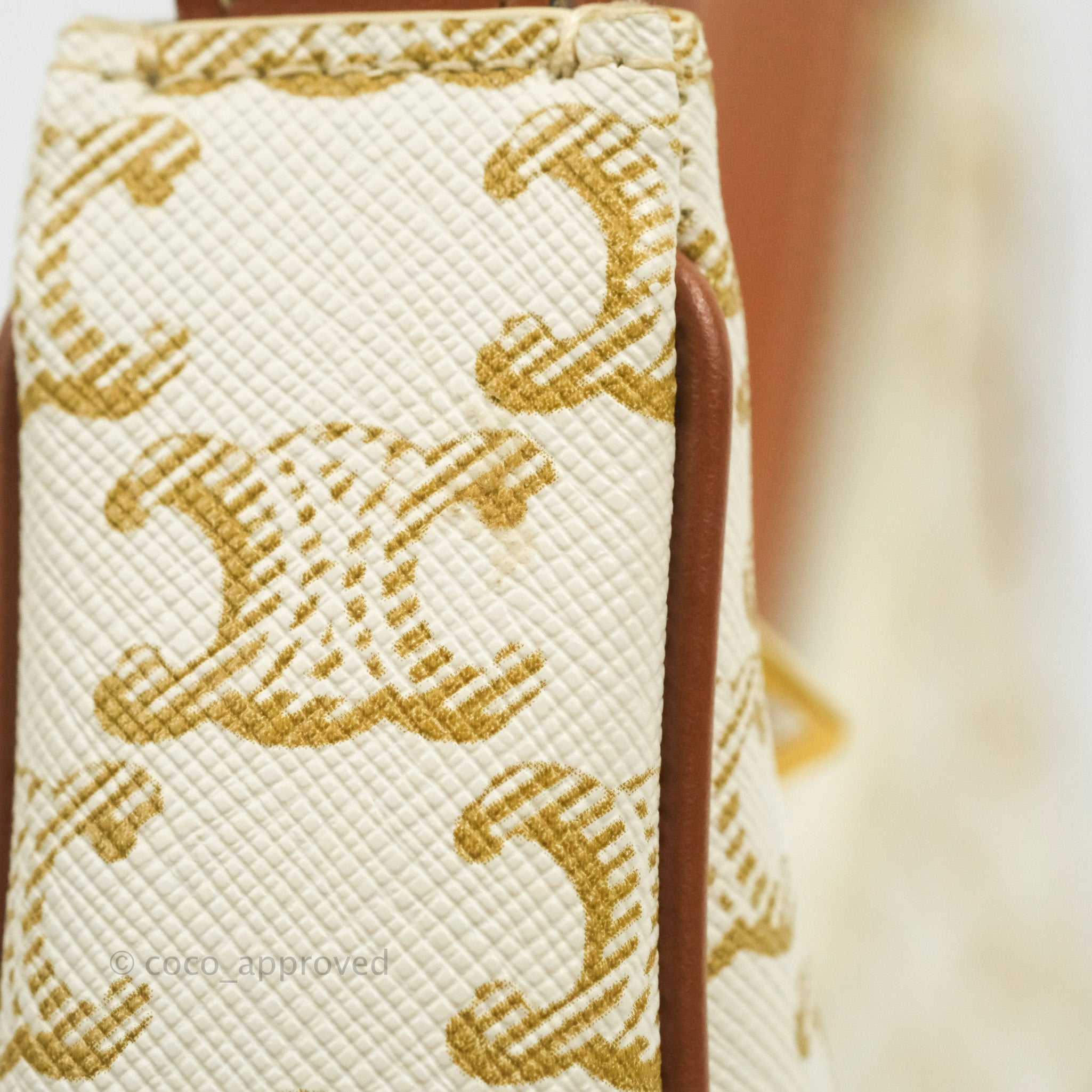 Celine Ava Bag In Triomphe Canvas Calfskin White – Coco Approved Studio