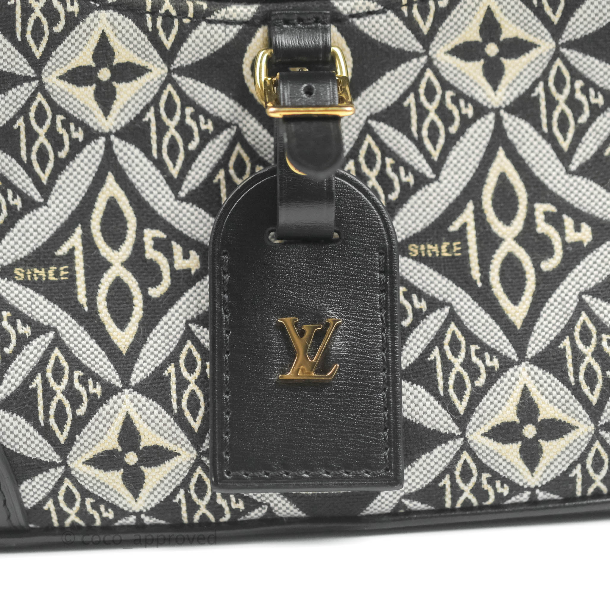 LOUIS VUITTON Bag DEAUVILLE MINI SINCE 1854 neuf Multiple colors Cloth  ref.361217 - Joli Closet