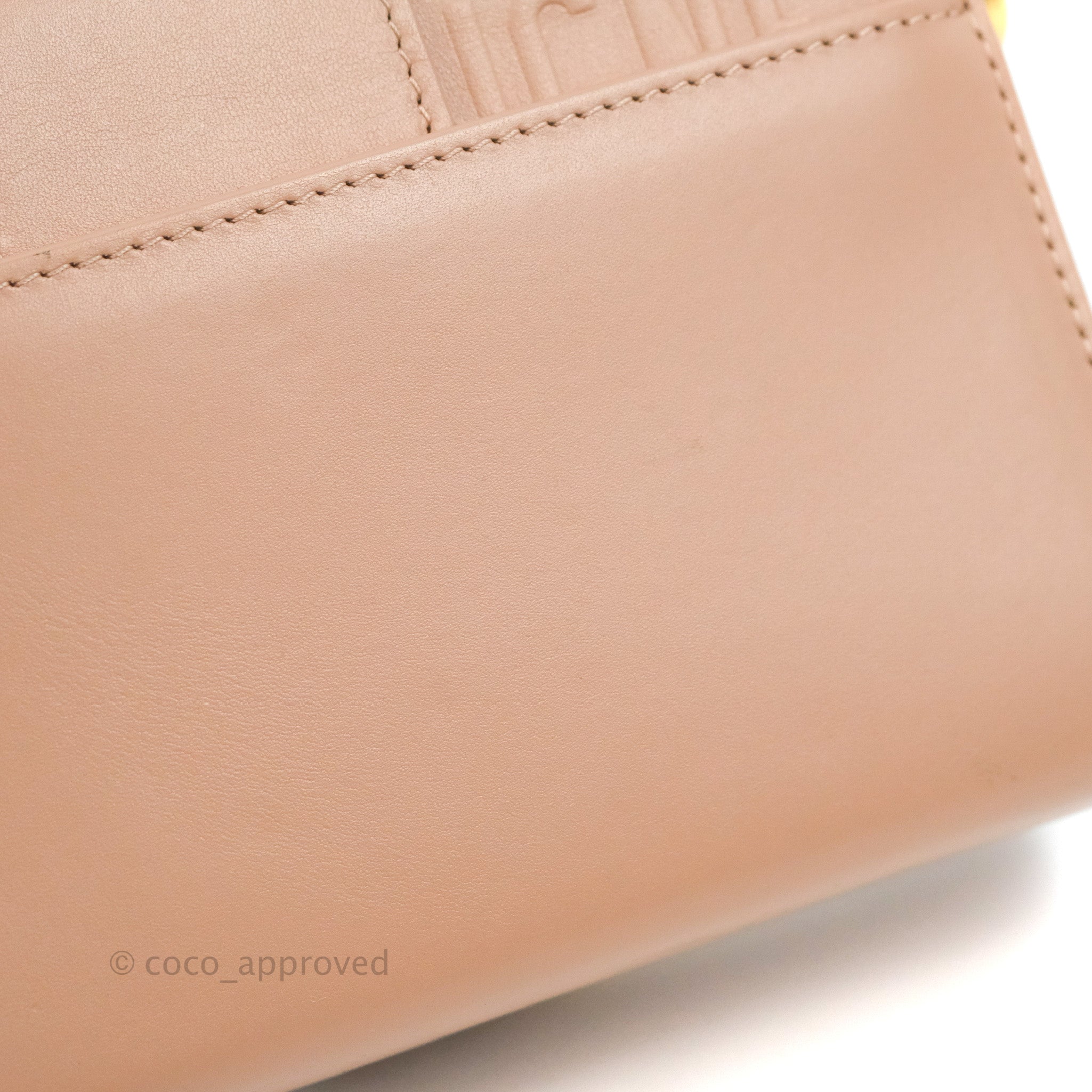 Christian Dior 30 Montaigne Bag Rose Des Vents Box Calfskin – STYLISHTOP