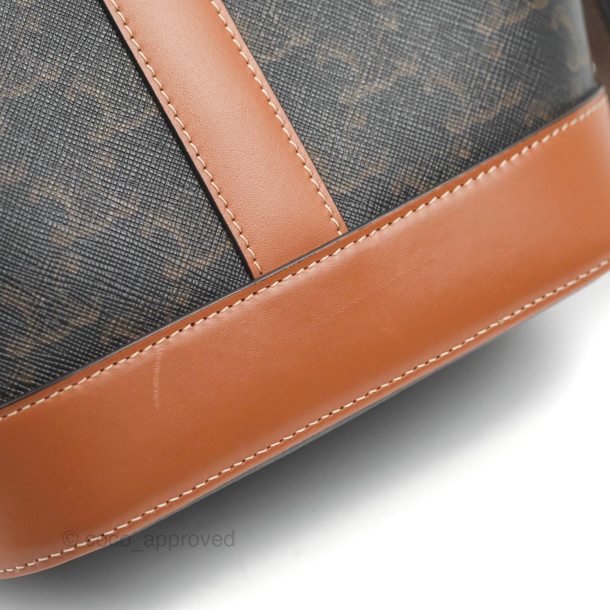 Celine Small Bucket in Triomphe Canvas and Calfskin in Tan colour