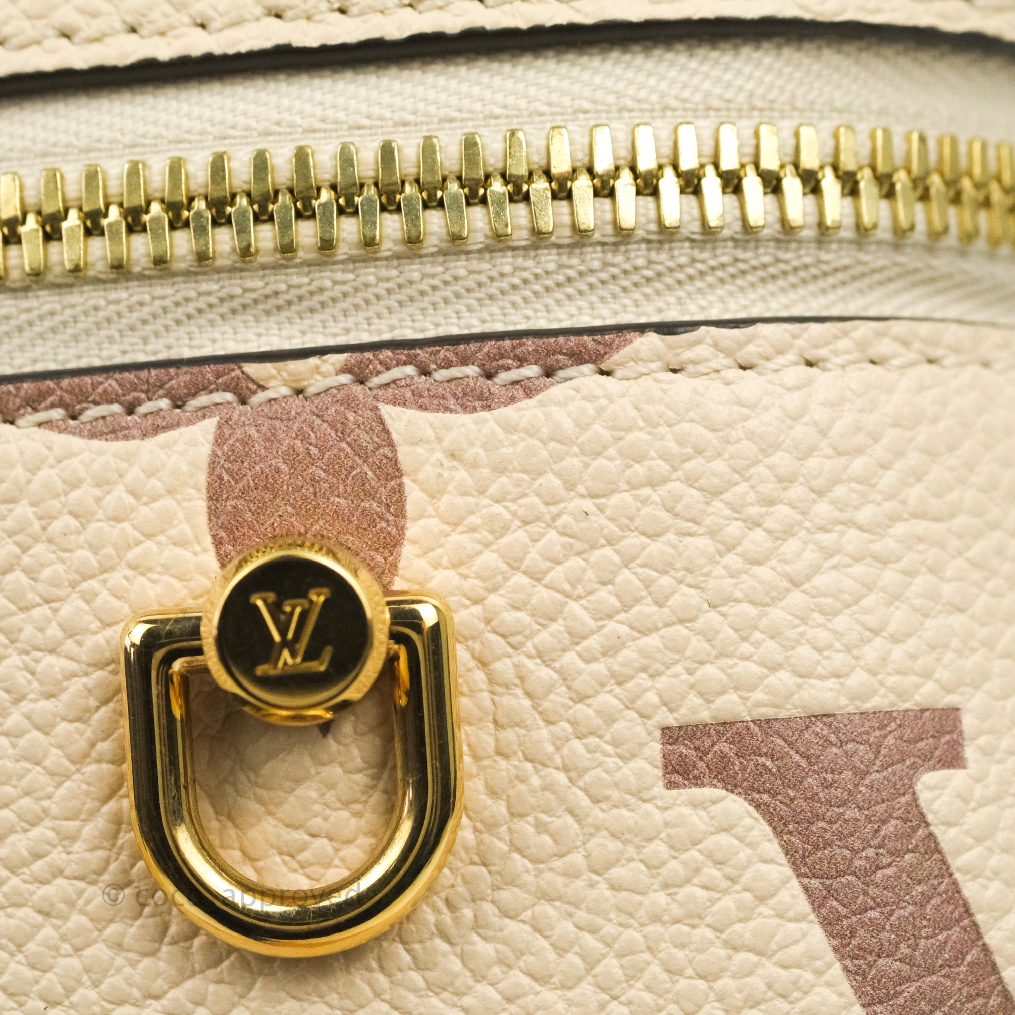 Louis Vuitton Vanity PM Creme/Bois de Rose Pink in Leather with Gold-tone -  US