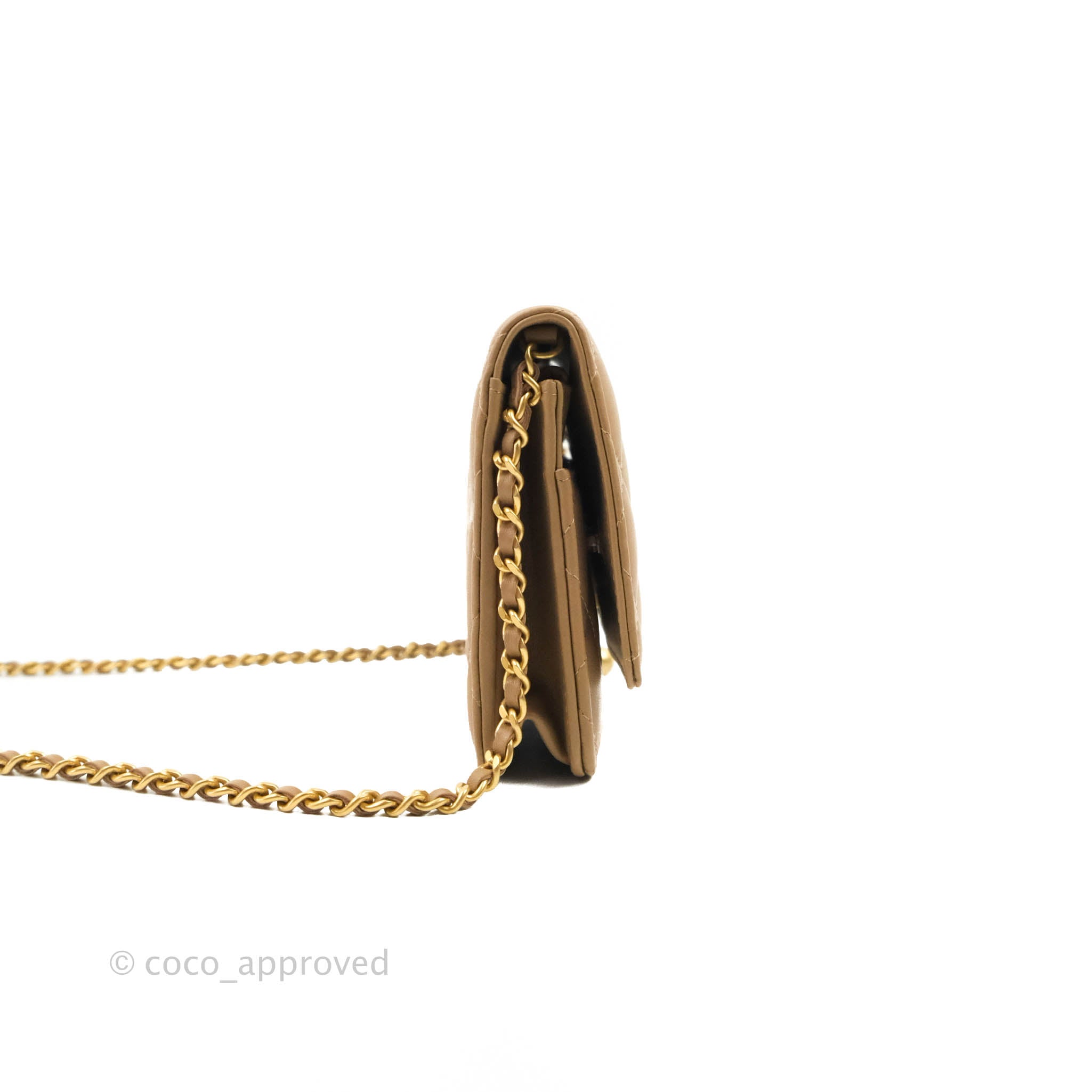 Chanel Gold WOC Wallet On Chain Handbag – The Millionaires Closet