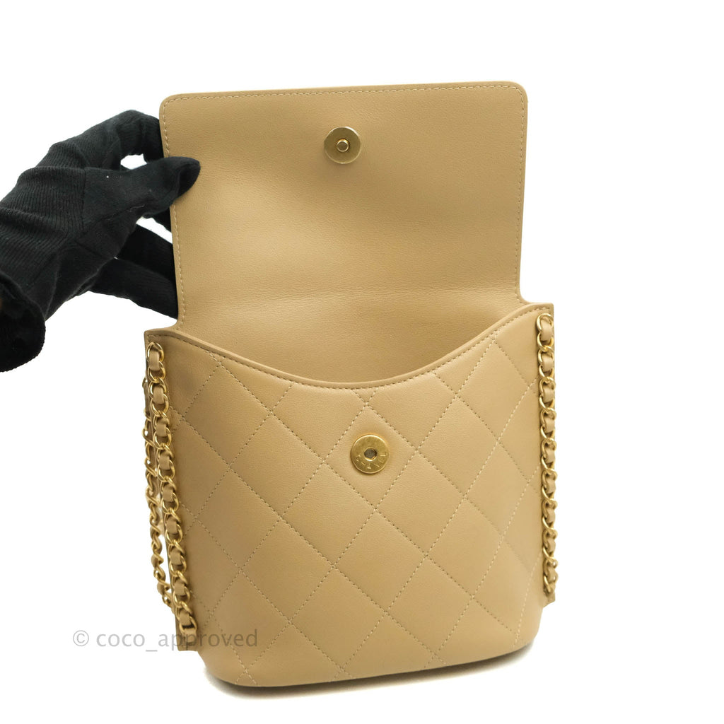Chanel Small Hobo Bag Beige Calfskin Aged Gold Hardware