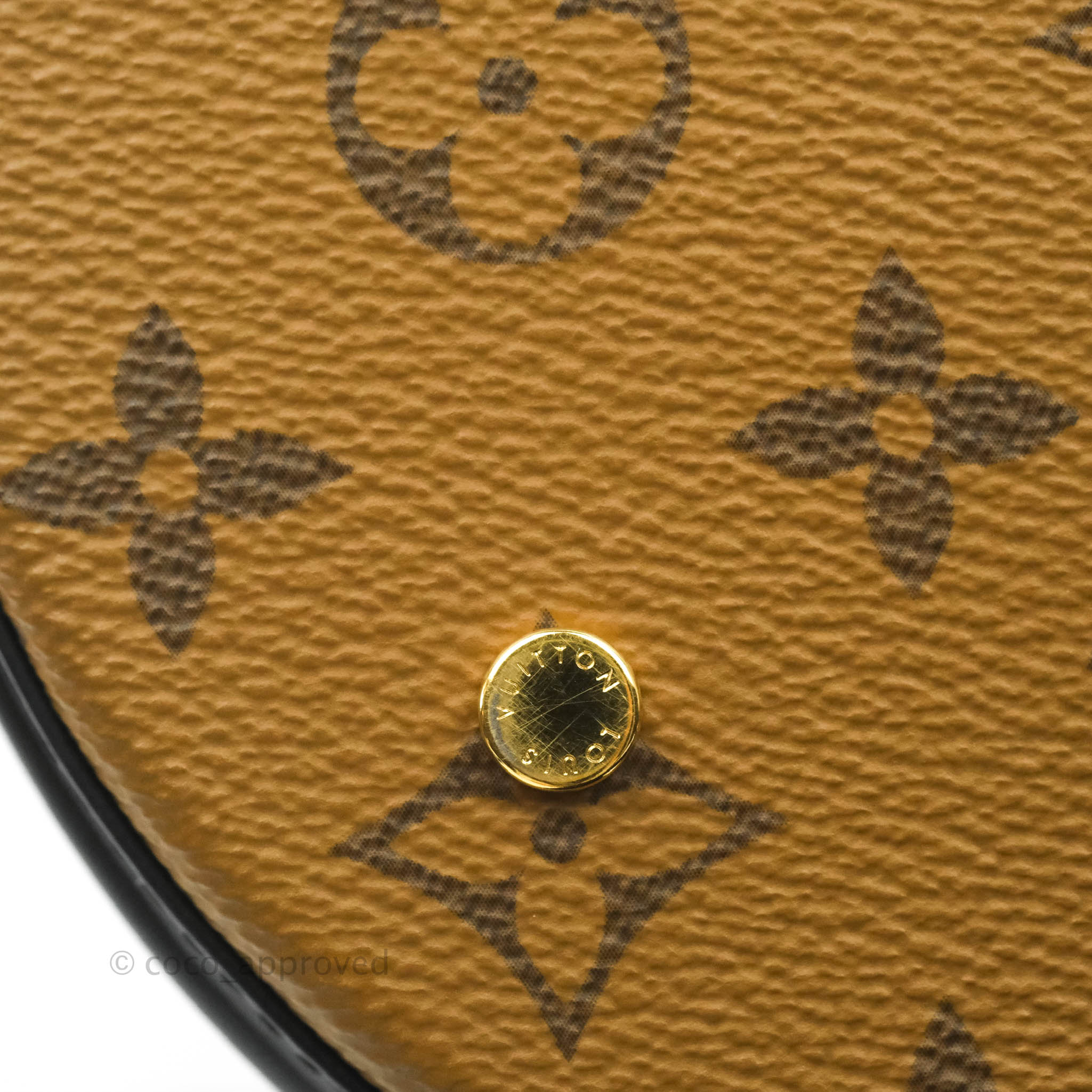 Louis Vuitton Monogram Canvas Reverse Cannes Bag – Coco Approved Studio