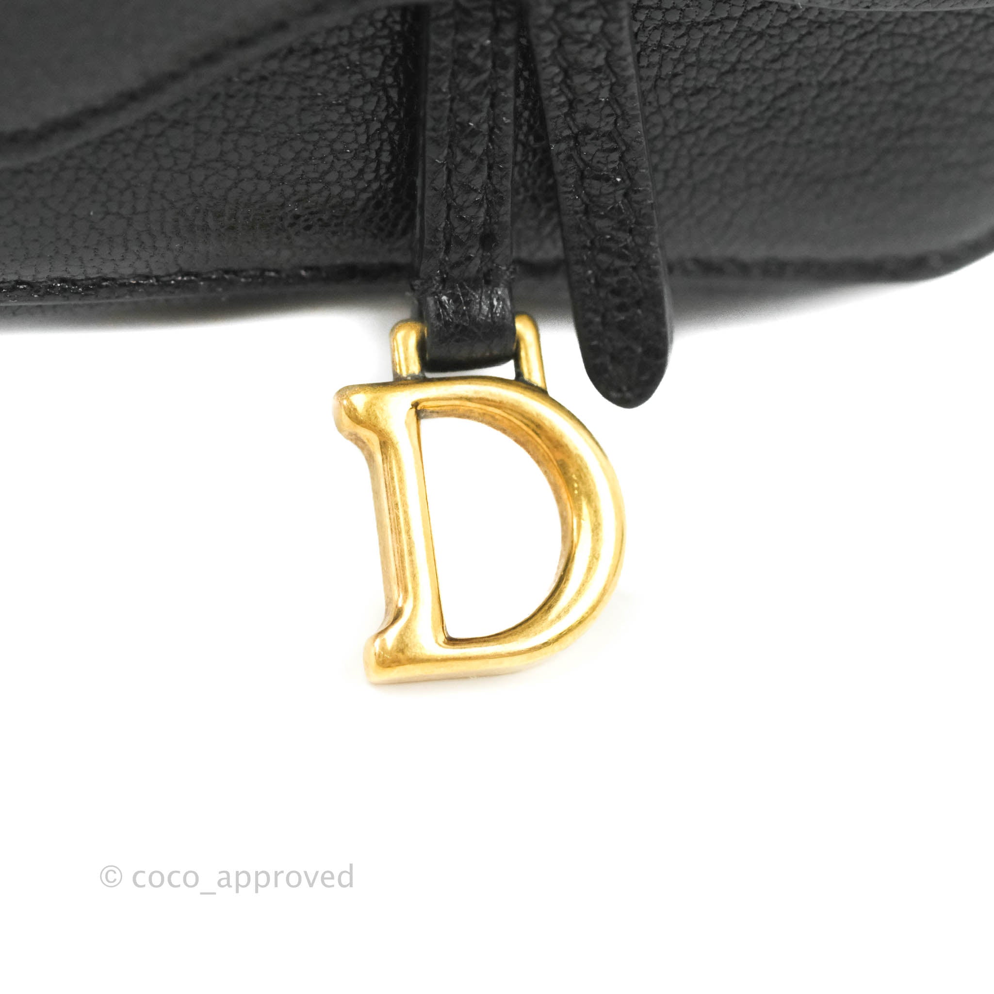 Dior Saddle Nano Pouch In Black Goatskin