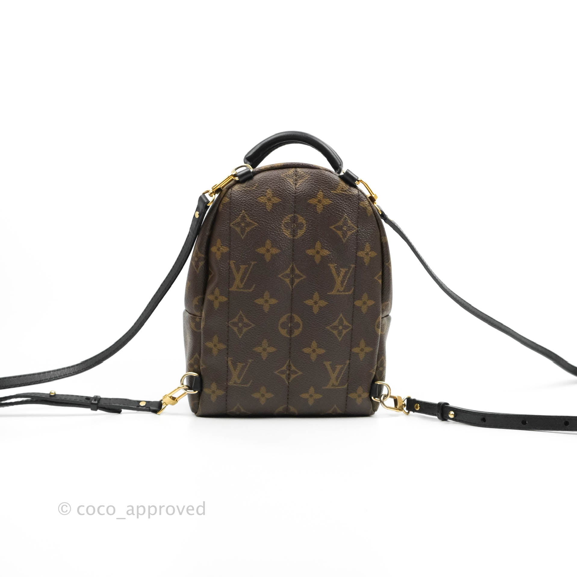 6 REASONS YOU SHOULD NOT BUY THE LOUIS VUITTON PALM SPRINGS
