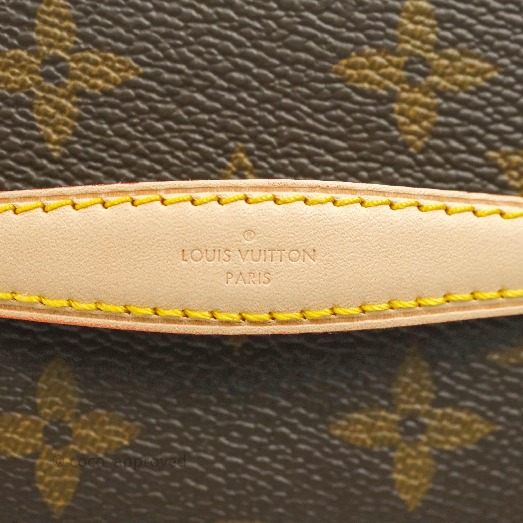 Louis Vuitton Nano Nice Monogram – Coco Approved Studio