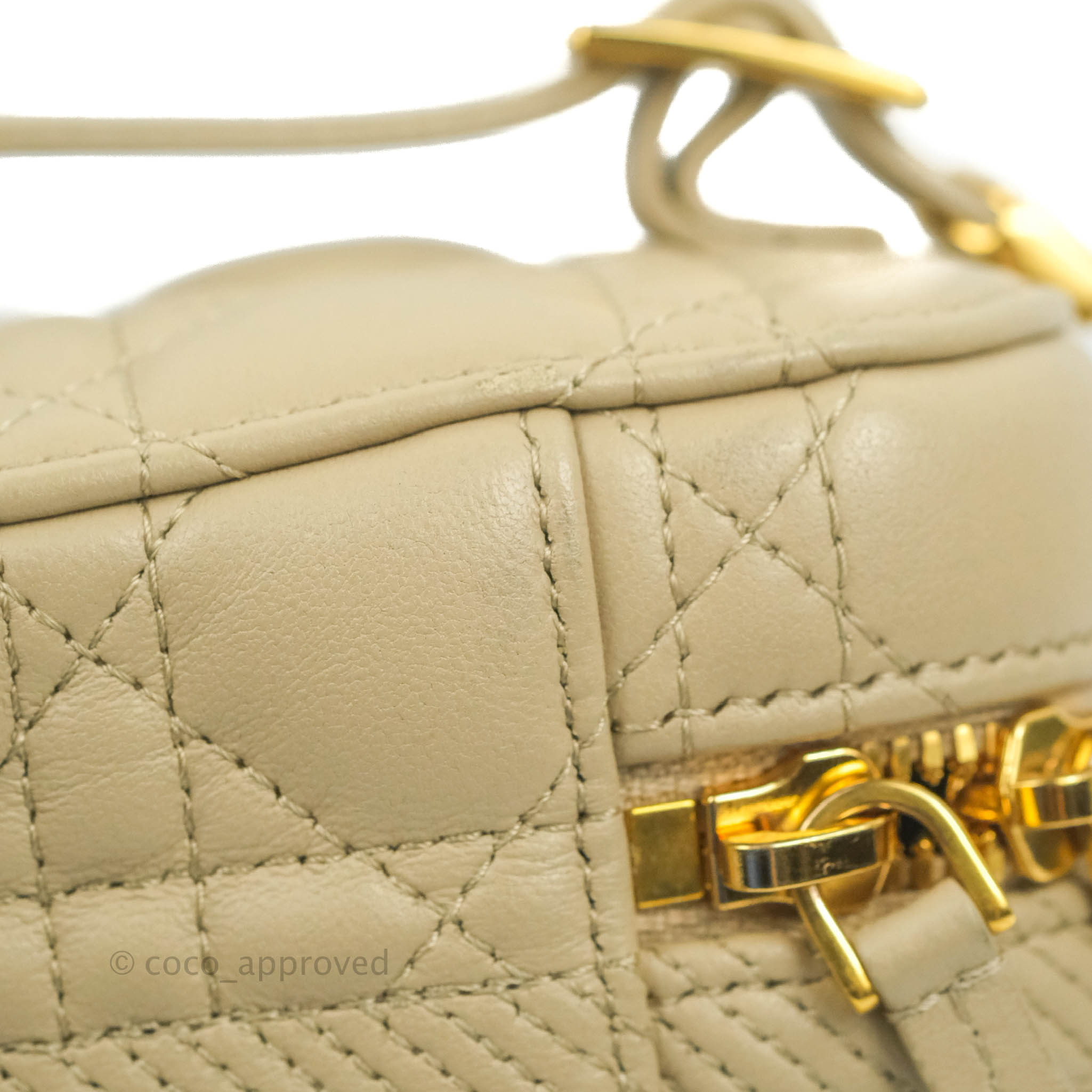 Louis Vuitton Leather Vanity PM versus DiorTravel Vanity Bag