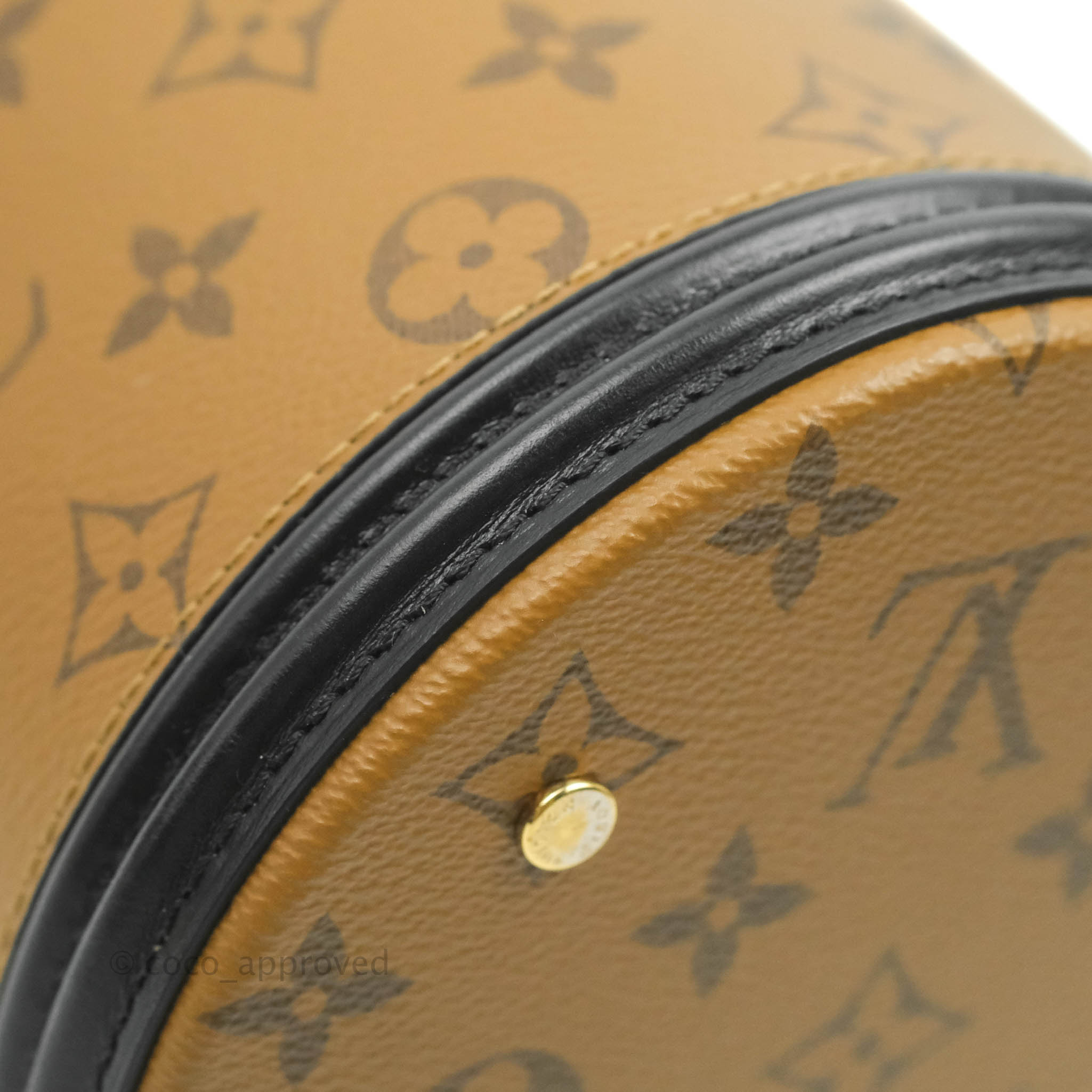 Louis Vuitton Monogram Canvas Reverse Cannes Bag – Coco Approved Studio