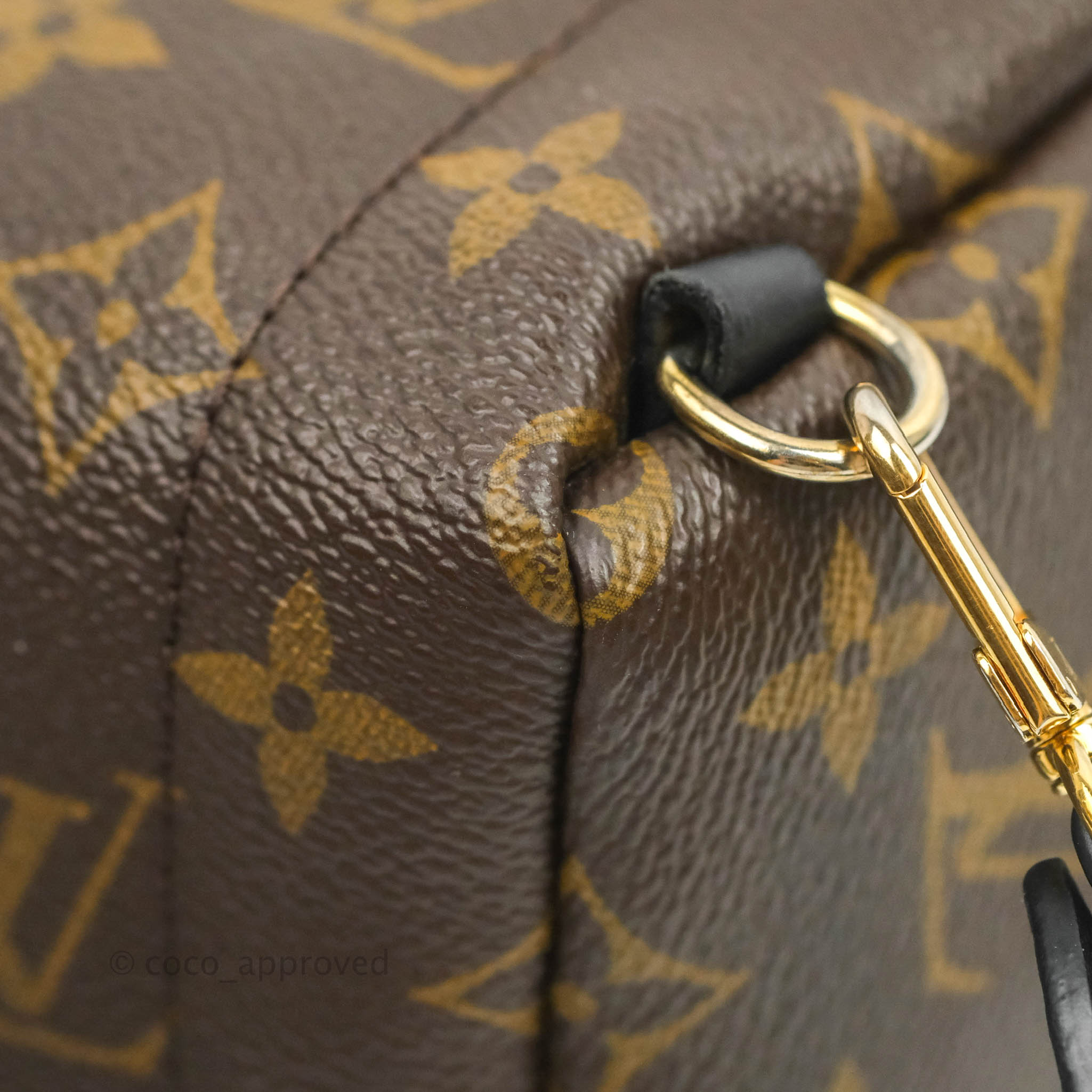 Louis Vuitton Monogram Palm Springs Mini Backpack – Redo Luxury