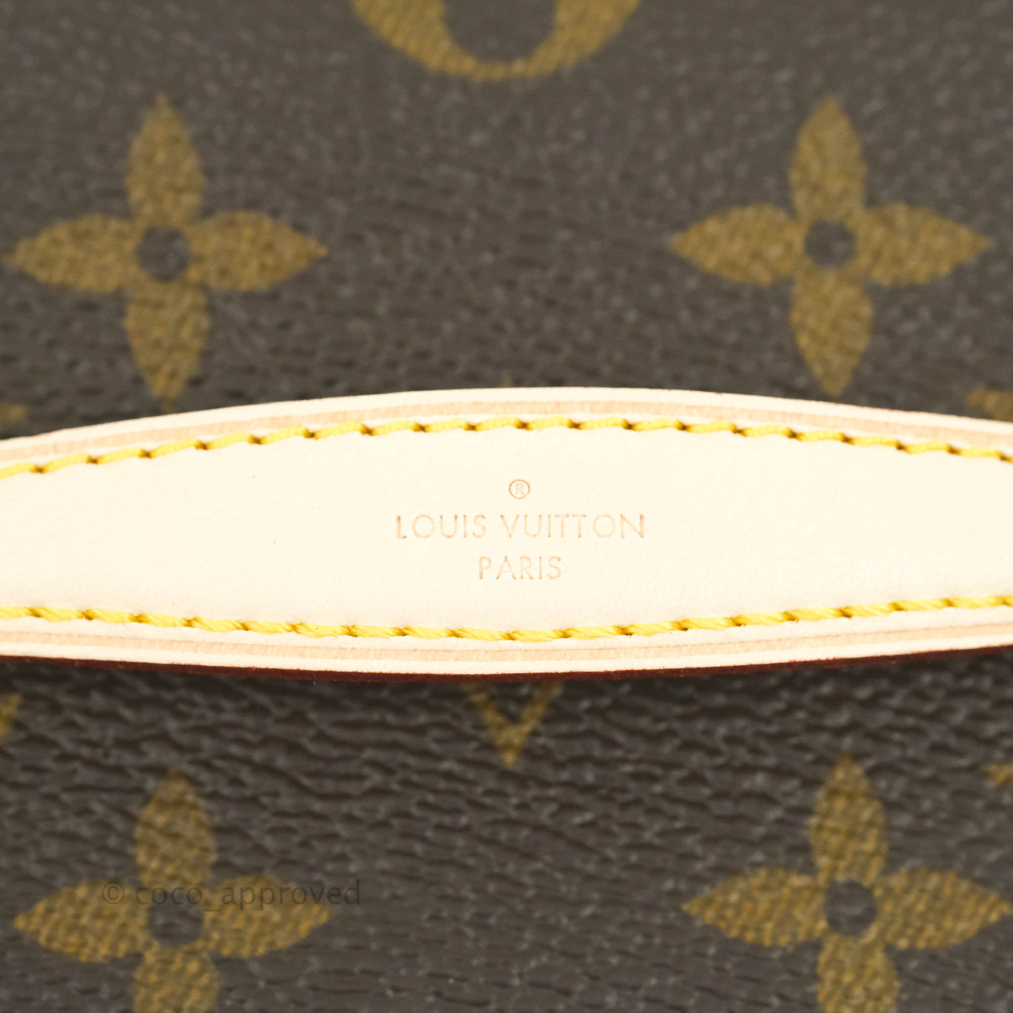 Louis Vuitton Monogram Nano Nice 597529