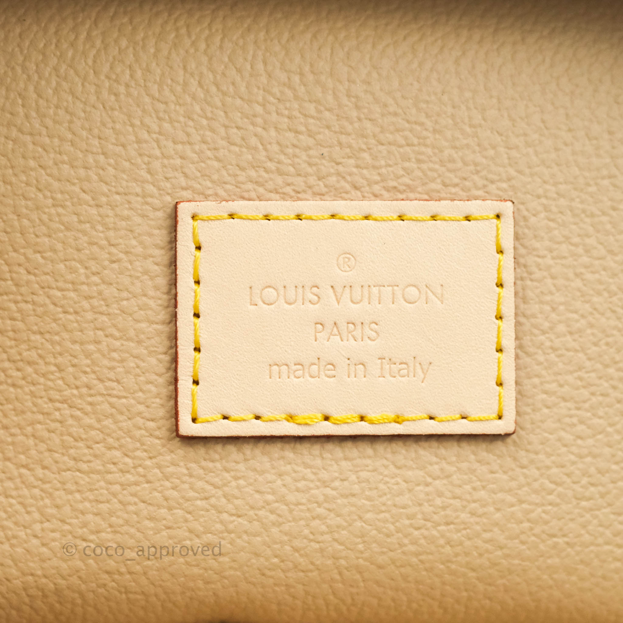 ❣️BNIB❣️Louis Vuitton Nice Nano Monogram