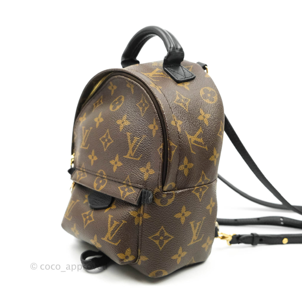 Louis Vuitton Monogram Mini Palm Springs Backpack⁣