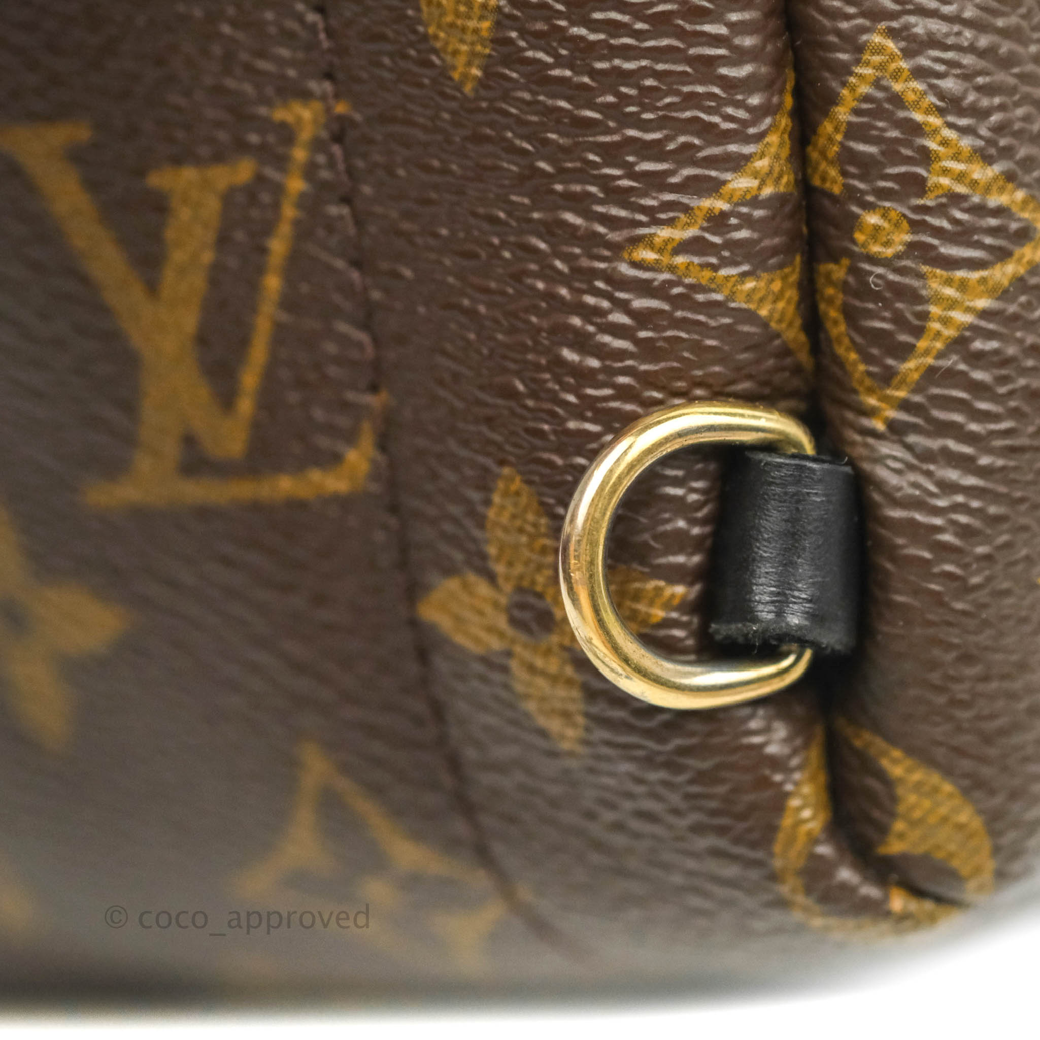 Louis Vuitton Mochila pequeña con monograma Palm Springs ref.294107 - Joli  Closet
