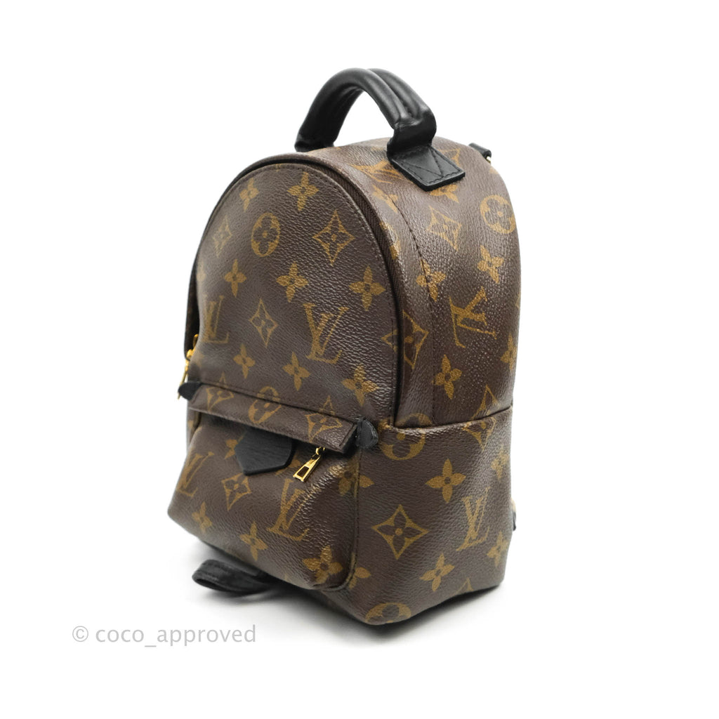 Louis Vuitton Monogram Mini Palm Springs Backpack⁣
