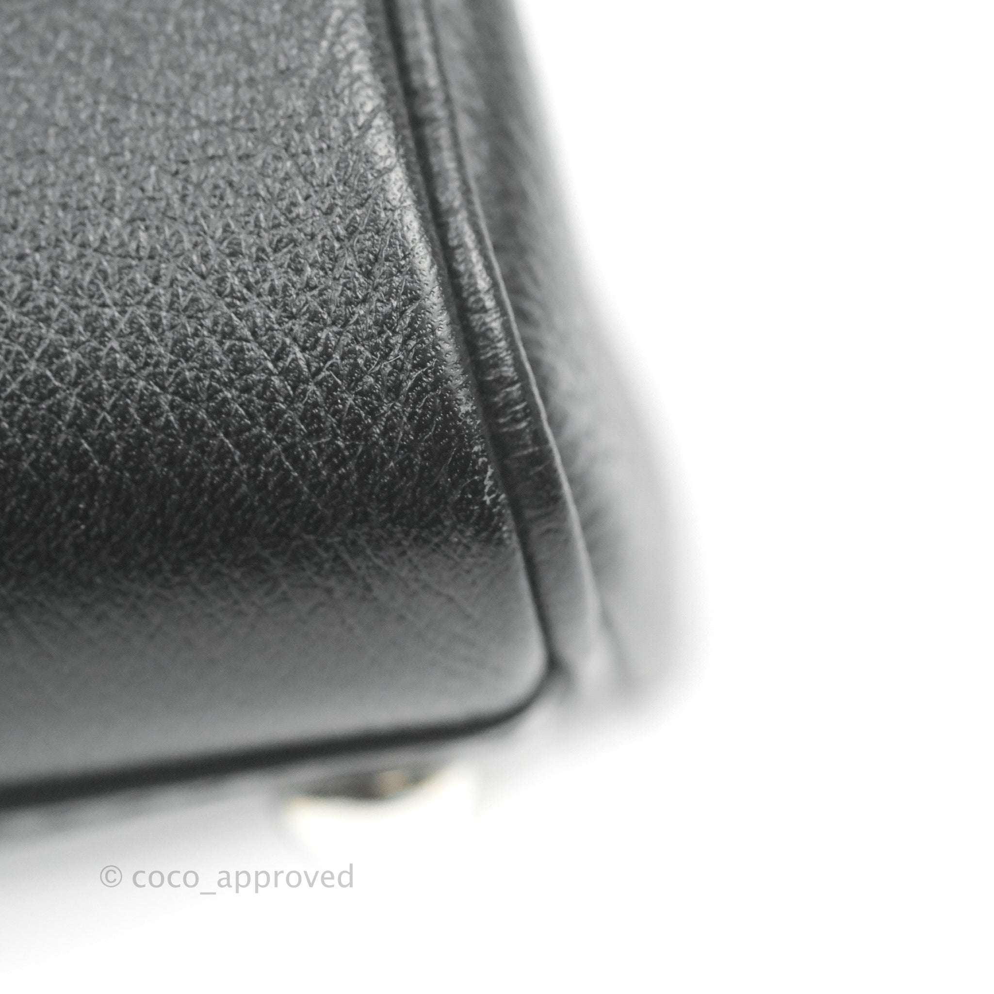 Delvaux Mini Brillant Bag Vegetal Rodeo Black Calf Silver Hardware – Coco  Approved Studio