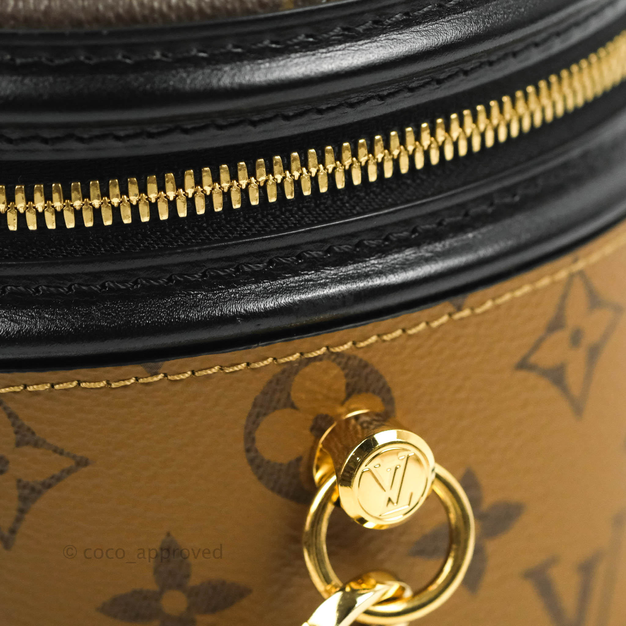 Louis Vuitton Cannes Bag of Reverse Monogram Canvas with Golden