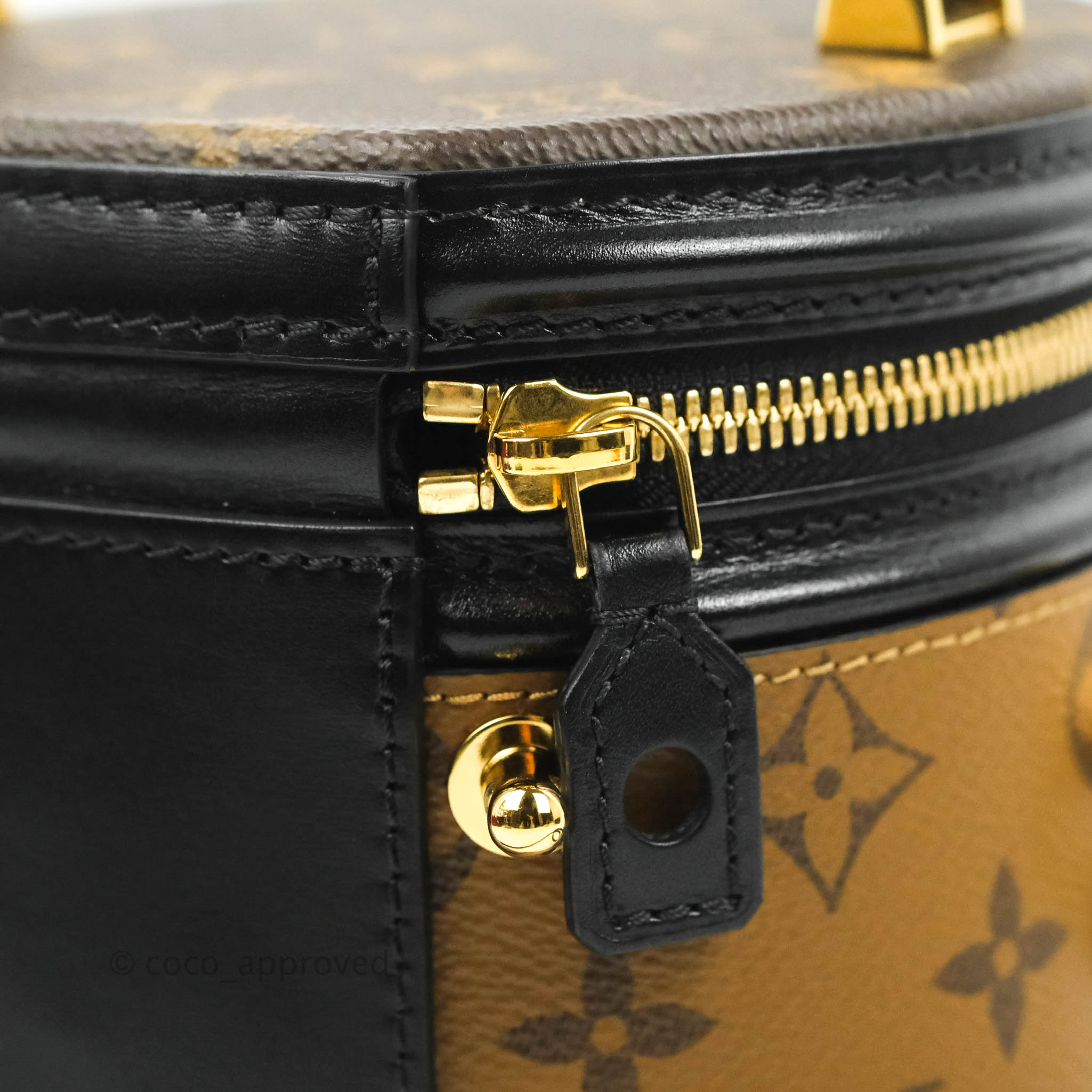 Louis Vuitton Handbag Cannes Reverse Monogram Canvas (New lock and keys)