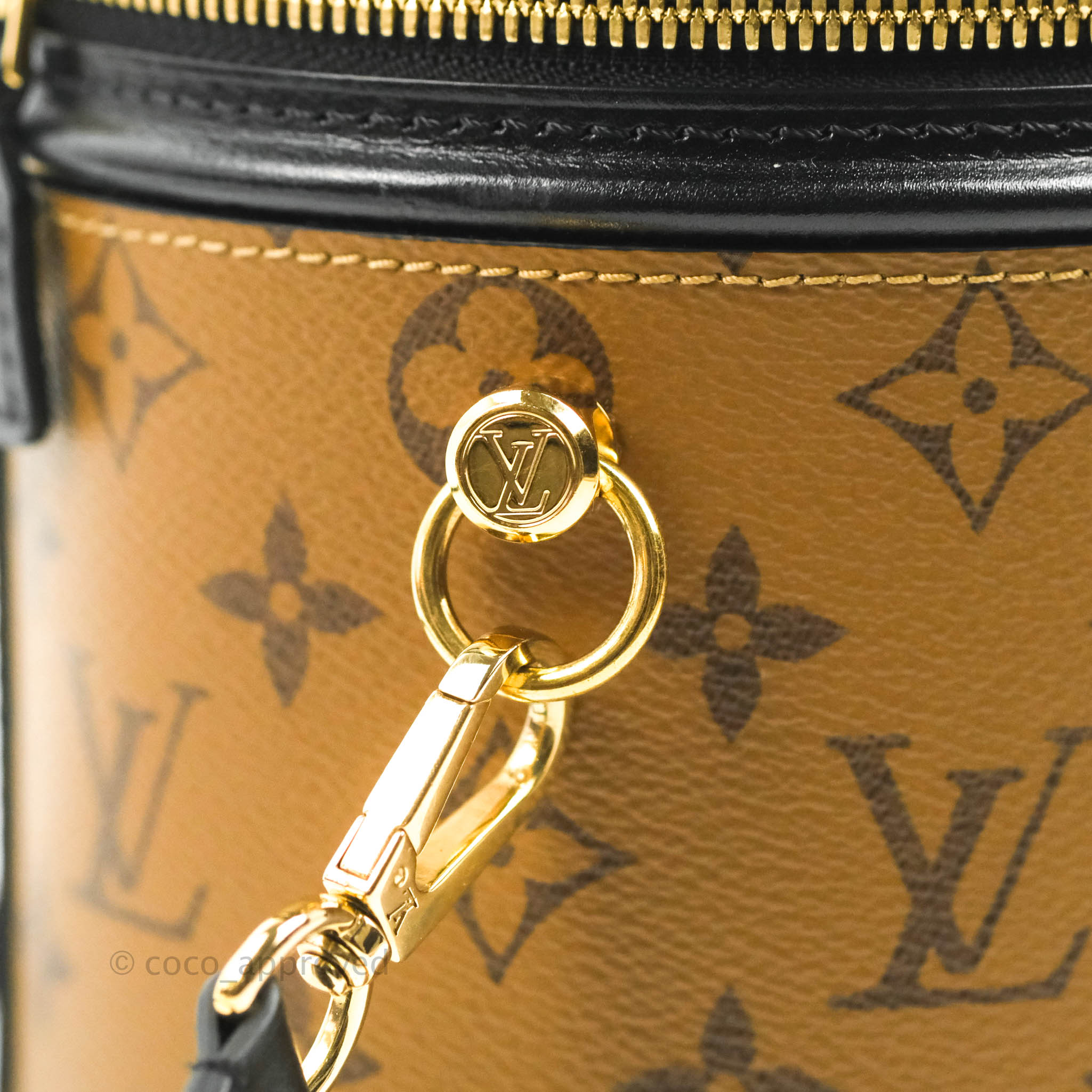 Louis Vuitton Cannes Monogram Reverse Canvas Bag Gold Color