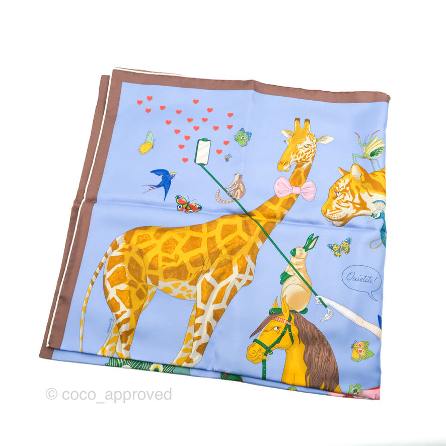 Hermes Story Scarf 90 Bleu Lavande/Vert/Rose