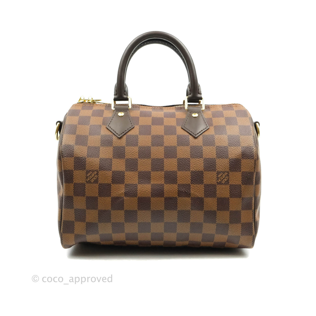 Louis Vuitton Speedy 25 Damier Canvas