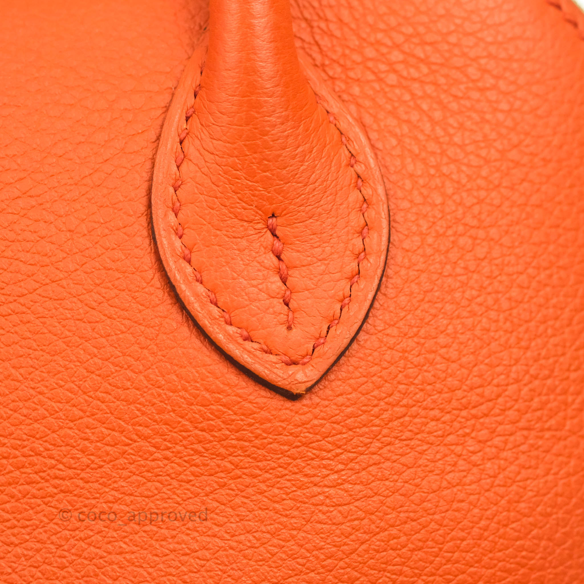 Hermes Vachette Fjord Leather Bolide 45 with GHW in Natural Sable – Chicago  Consignment