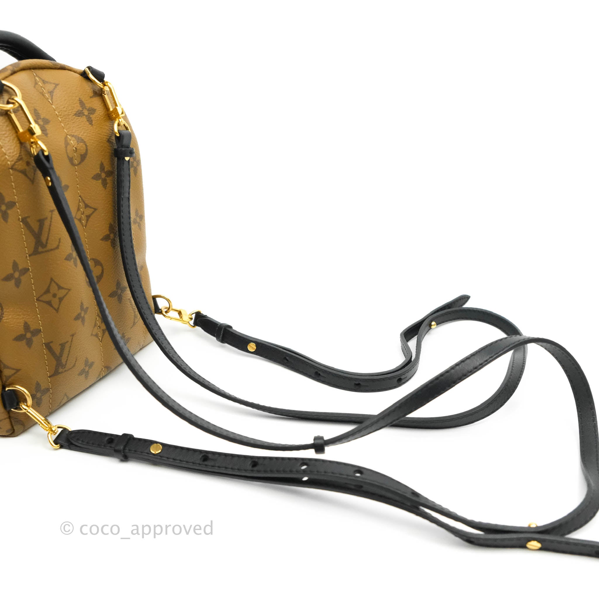 Louis Vuitton Mini Monogram Palm Springs Backpack by Ann's Fabulous Finds