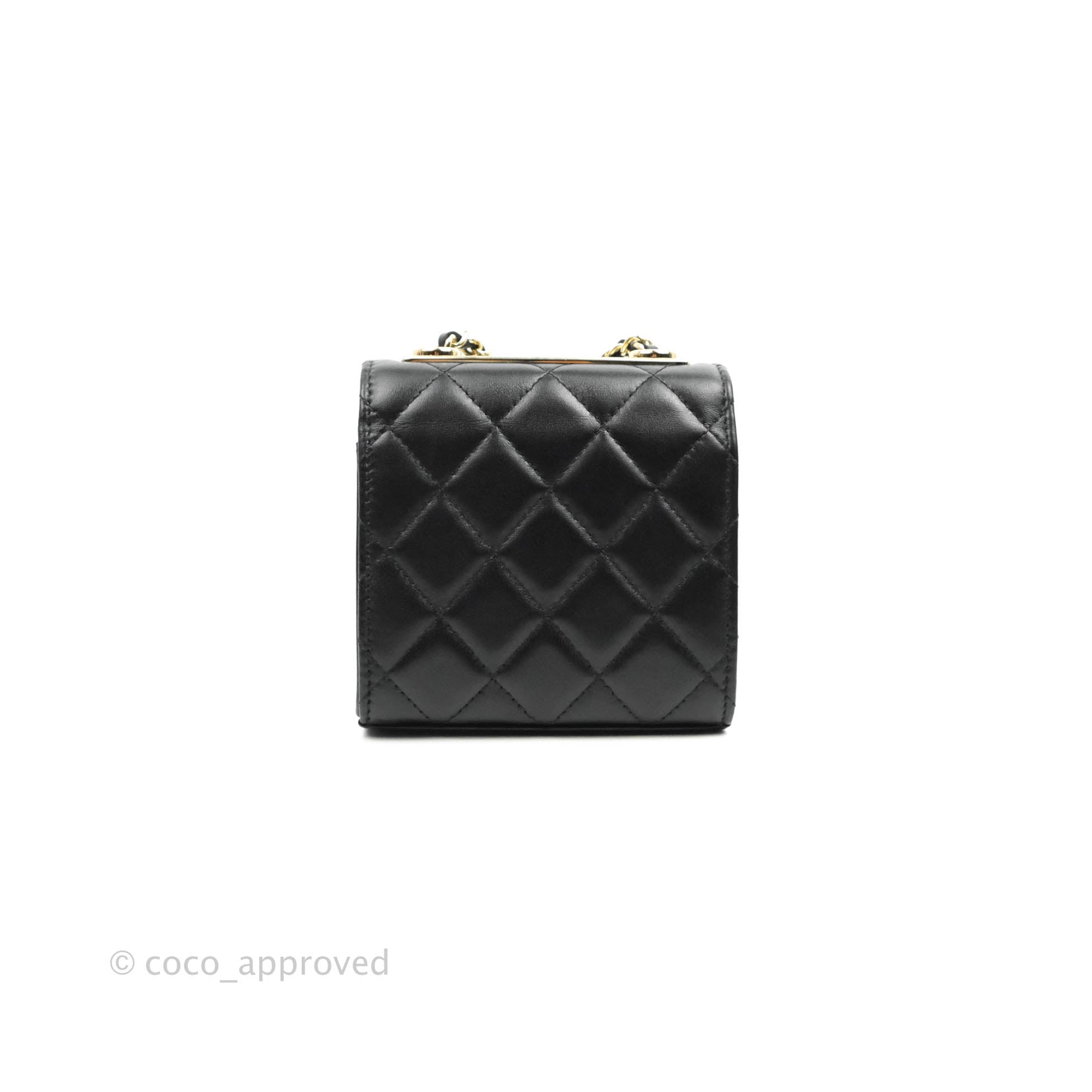 Chanel Vintage Black Quilted Lambskin Large Vanity Box Bag Gold Hardware,  1991-1994 Available For Immediate Sale At Sotheby's