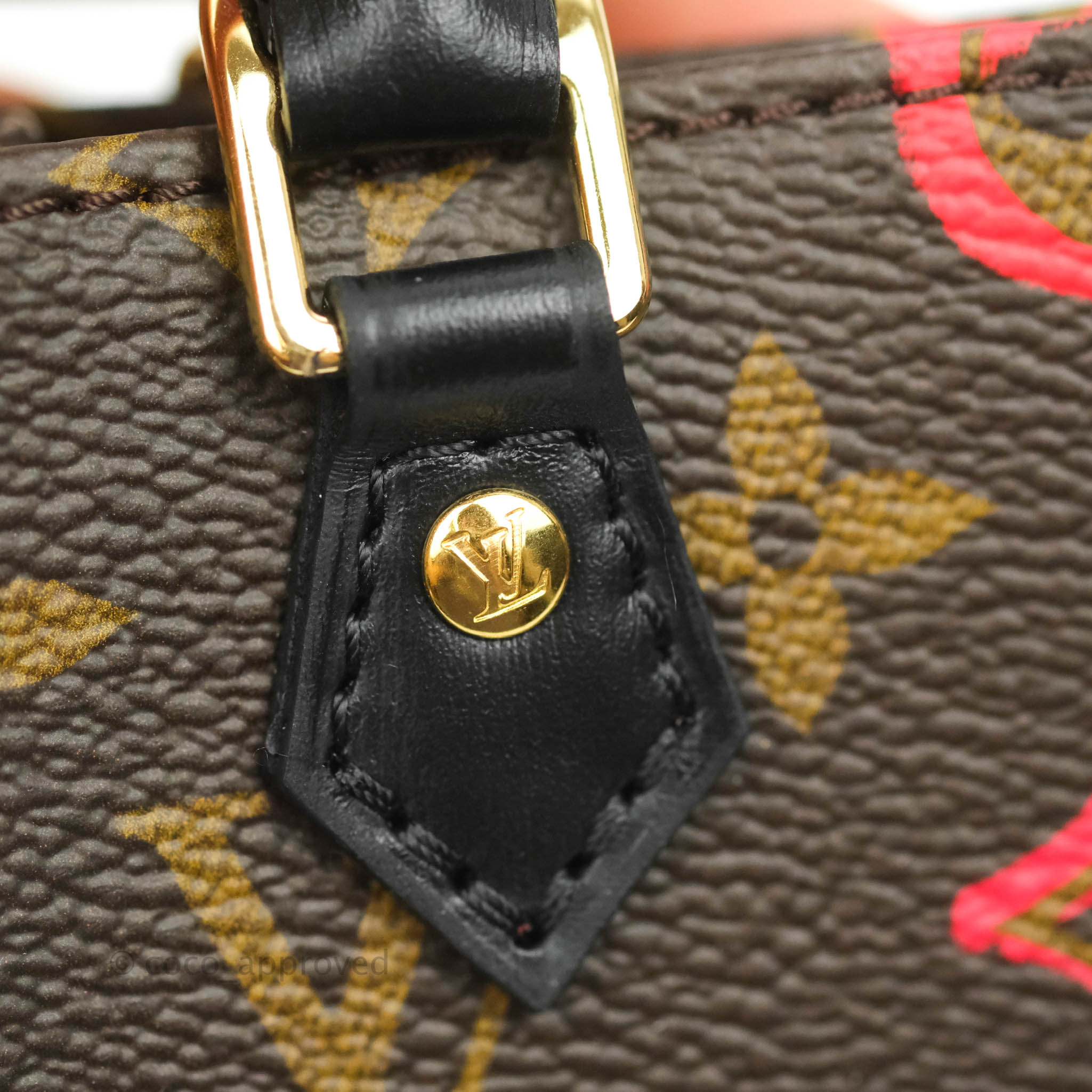 Louis Vuitton, Bags, Louis Vuitton Coeur Handbag Limited Edition Fall In  Love Monogram Embossed Lambs